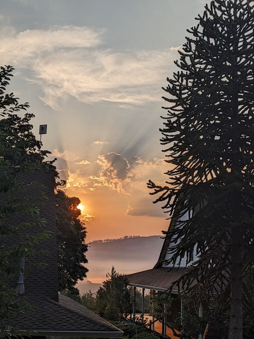 GOOD MORNING