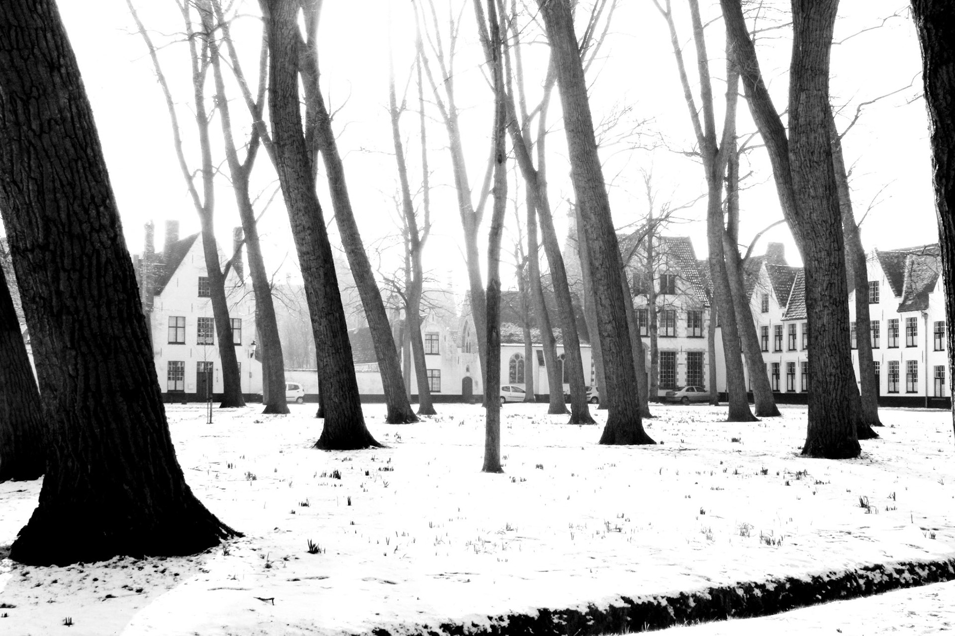 Brugge 2012