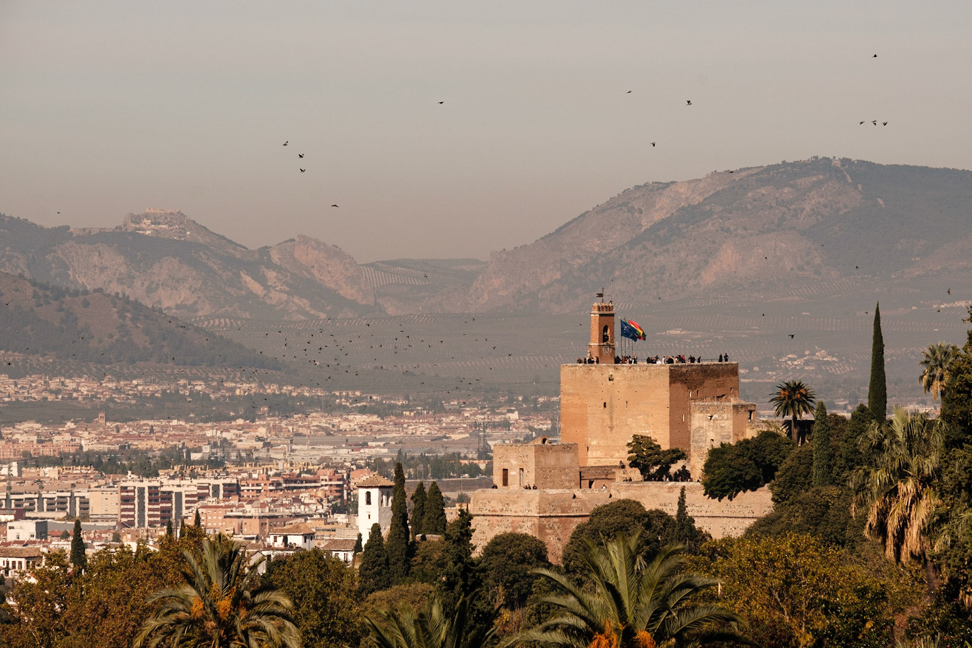 Granada