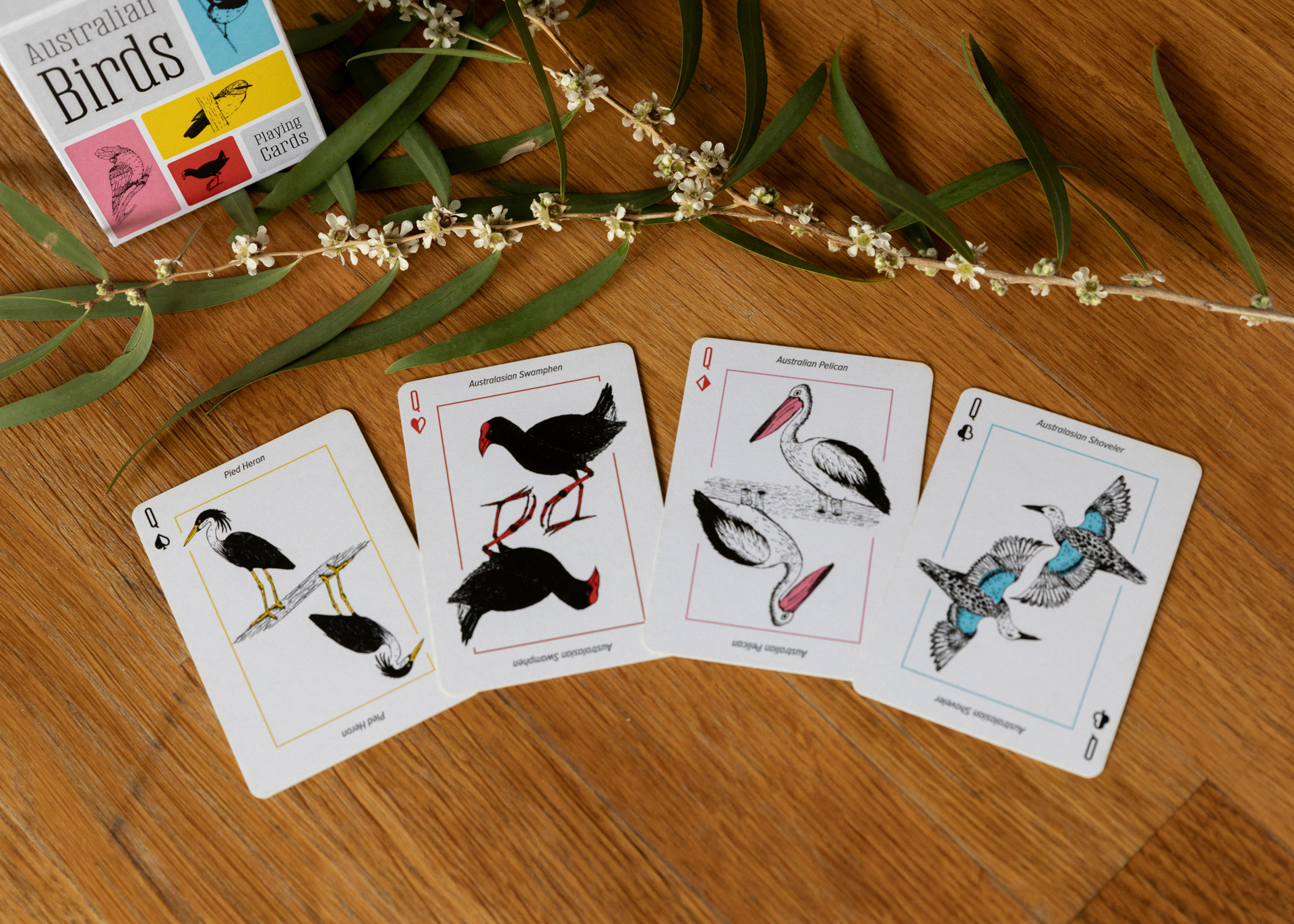 Photo of the four queen cards laid out on a wooden table. The card illustrations depict a Pied Heron, Australasian Swamphen, Australian Pelican and an Australasian Shoveler..