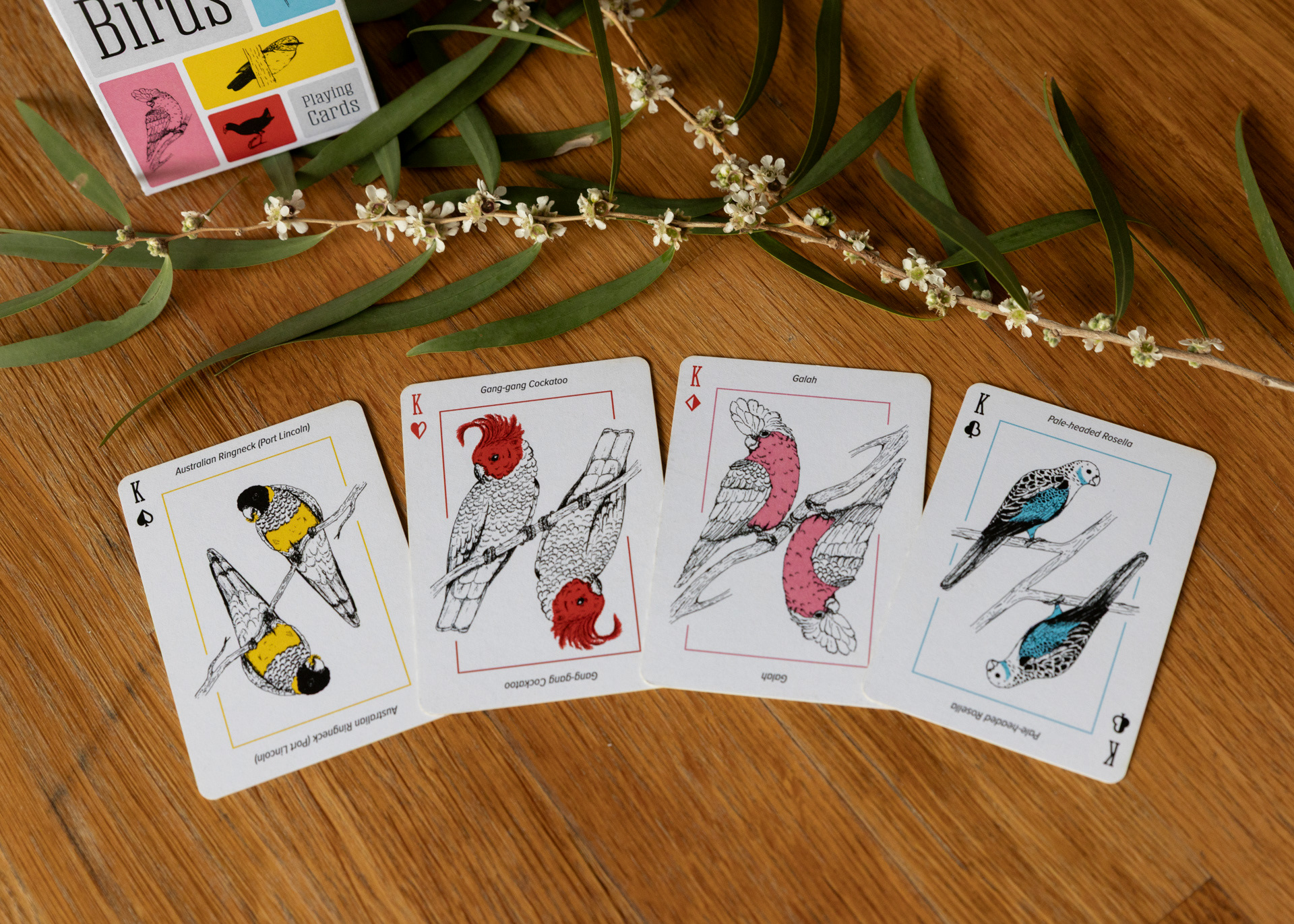 Photo of the four king cards laid out on a wooden table. The card illustrations depict an Australian Ringneck Parrot (Port Lincoln subspecies), a Gang-gang Cockatoo, a Galah, and a Pale-headed Rosella.