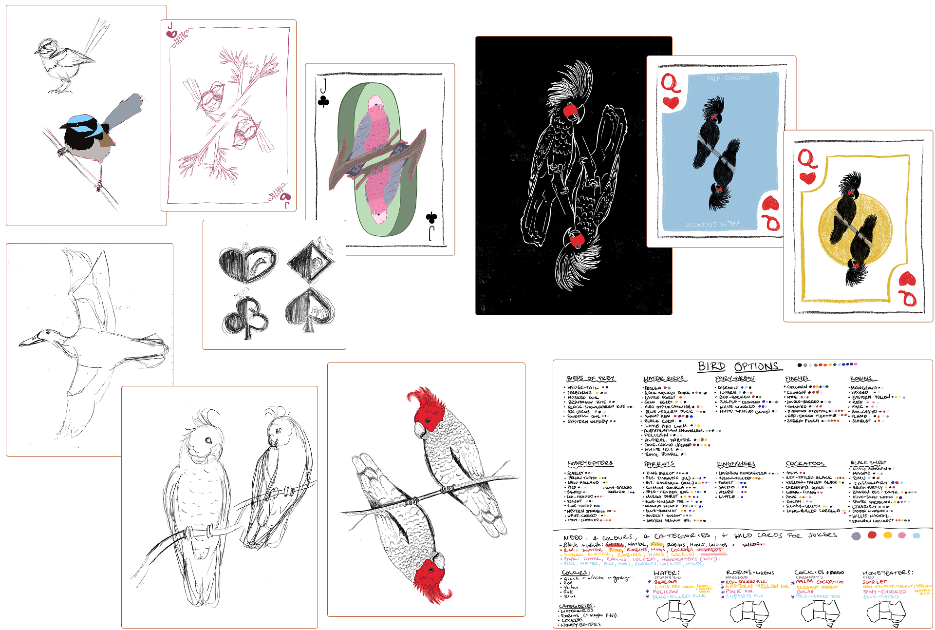A collection of early development sketches and media trials, showing different potential approaches to the illustrations, including vector images, linoprint and fineliner-style digital artwork, as well as an extensive colour-coded page documenting the process of choosing the bird categories, feature colours and individual bird species that would appear on the cards.