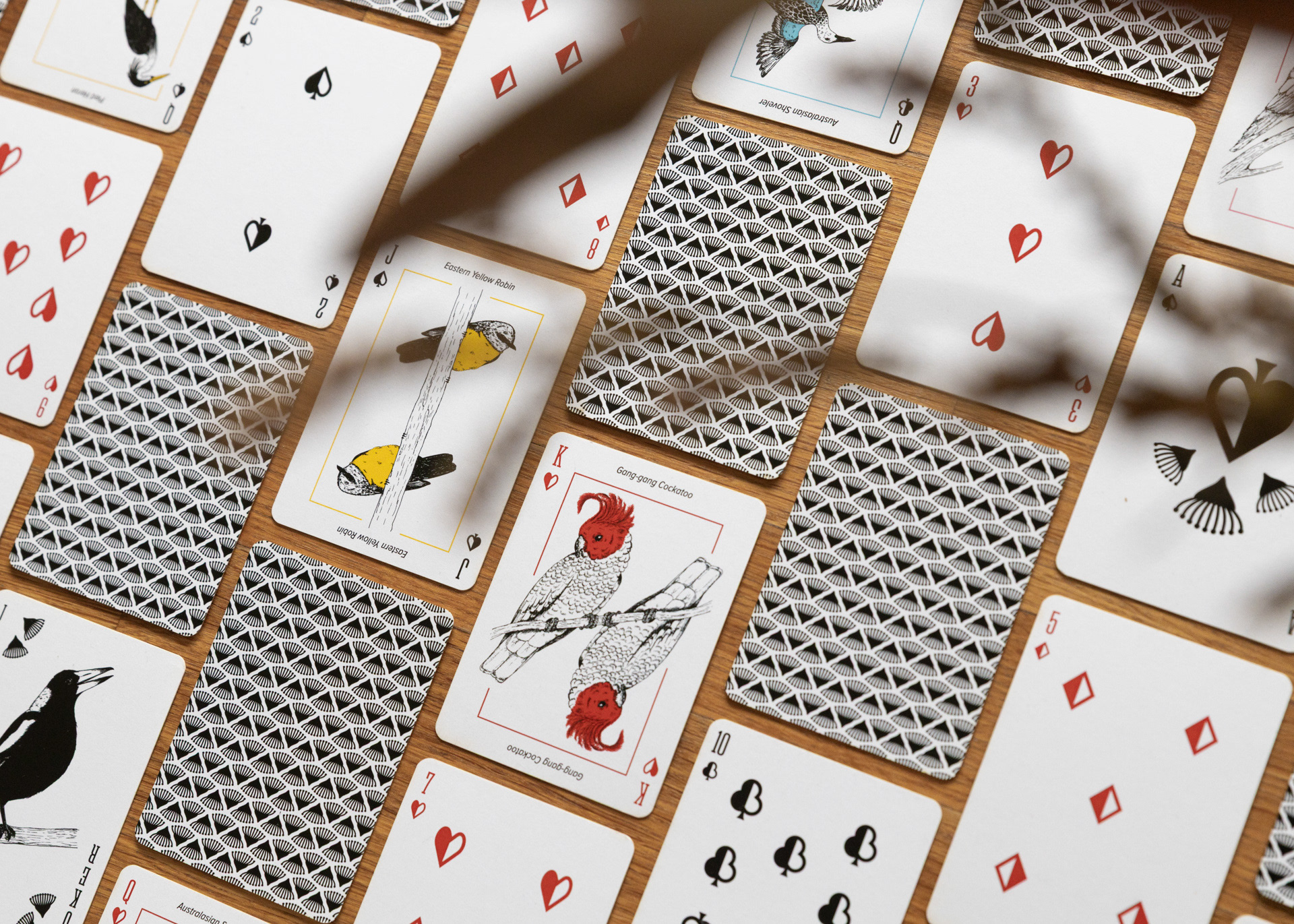 Photograph of approximately 20 playing cards arranged in a neat vertical brick pattern. The King, Queen, Jack and Joker cards feature fineliner illustrations of birds native to Australasia, custom suit icons and the name of the featured bird. The cards are primarily black and white, with one feature colour highlighted on each bird based on the suit.