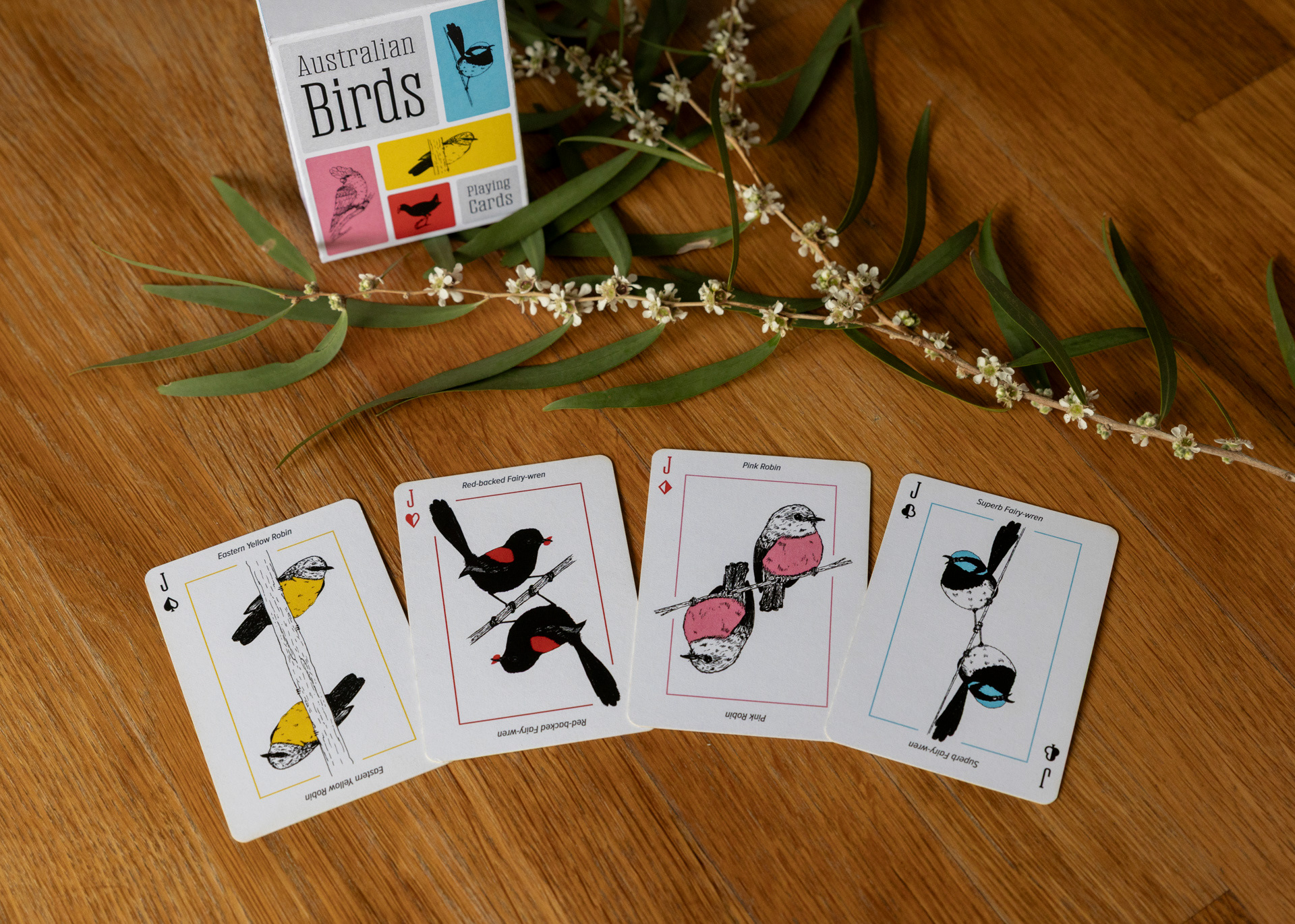 Photo of the four jack cards laid out on a wooden table. The card illustrations depict an Eastern Yellow Robin, A Red-backed Fairy-wren, a Pink Robin and a Superb Fairy-wren.