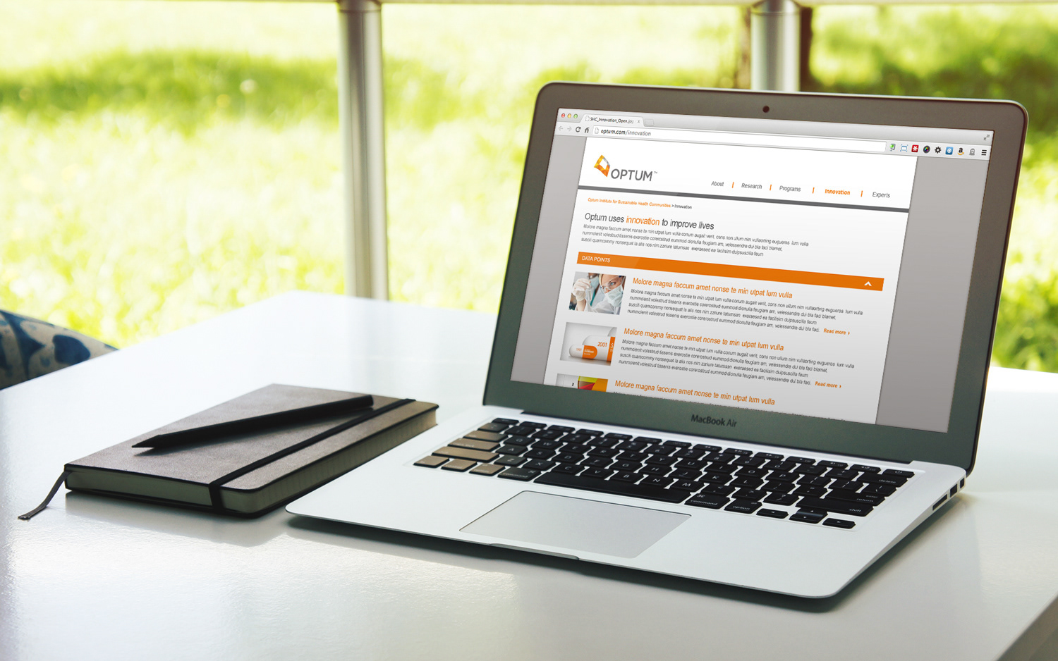 Optum Insight product site