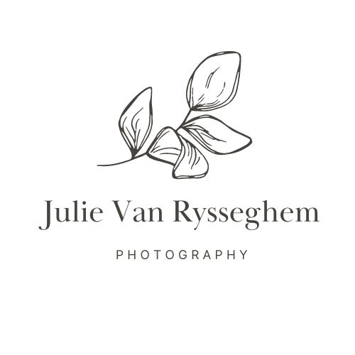 Julie Van Rysseghem