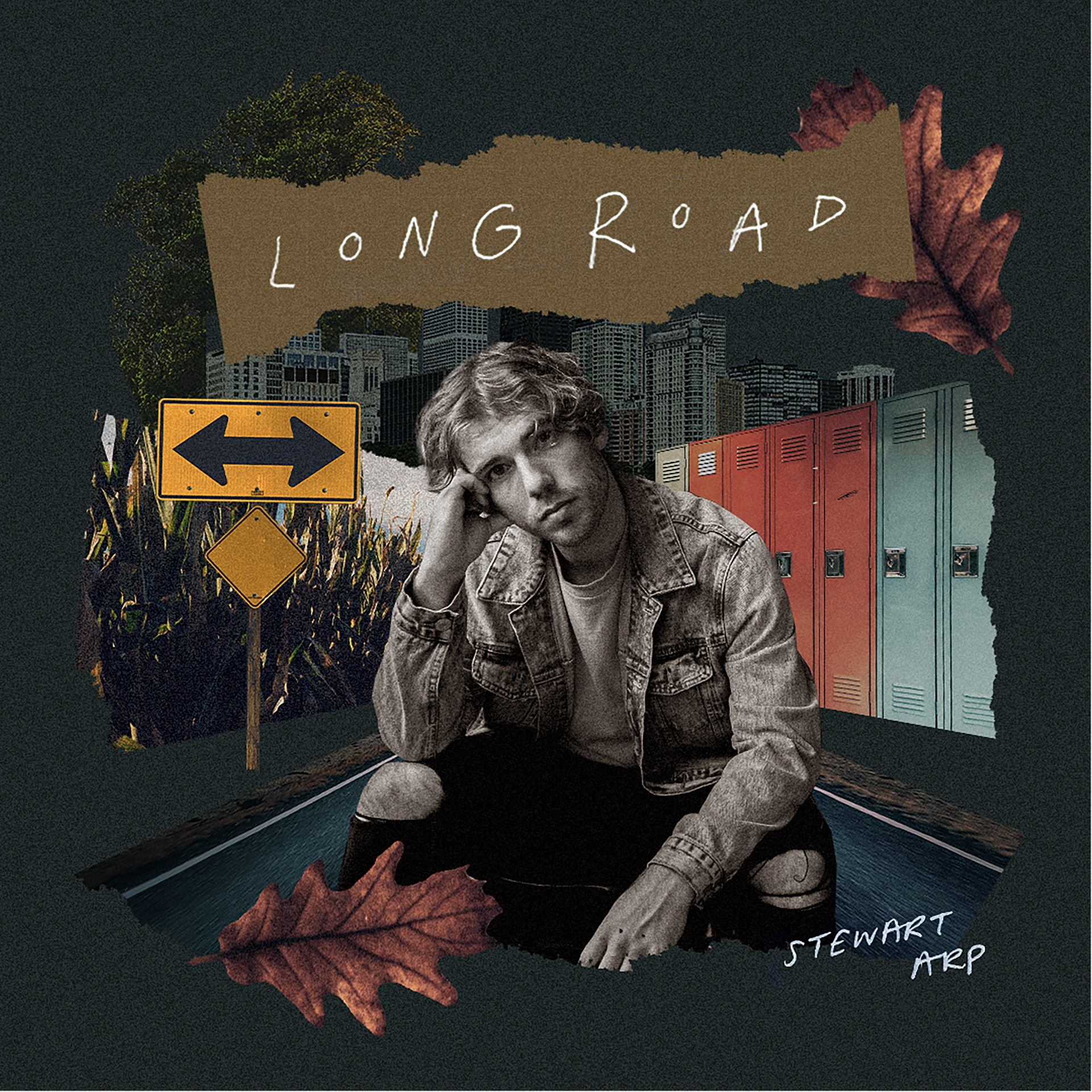 Long Road // Stewart Arp (unrelased)