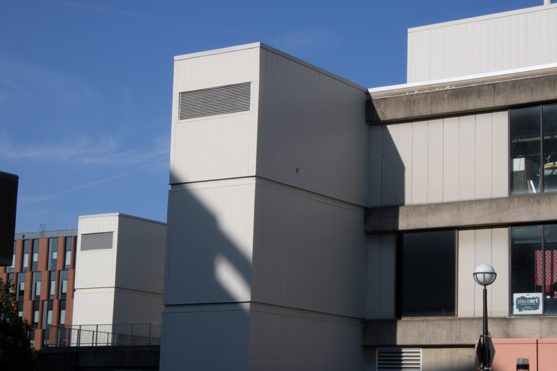 "Happy Day"(2024), Digital Photography, This photo makes me thing of days where the sun is shining, birds are chirping, and the air s crisp.