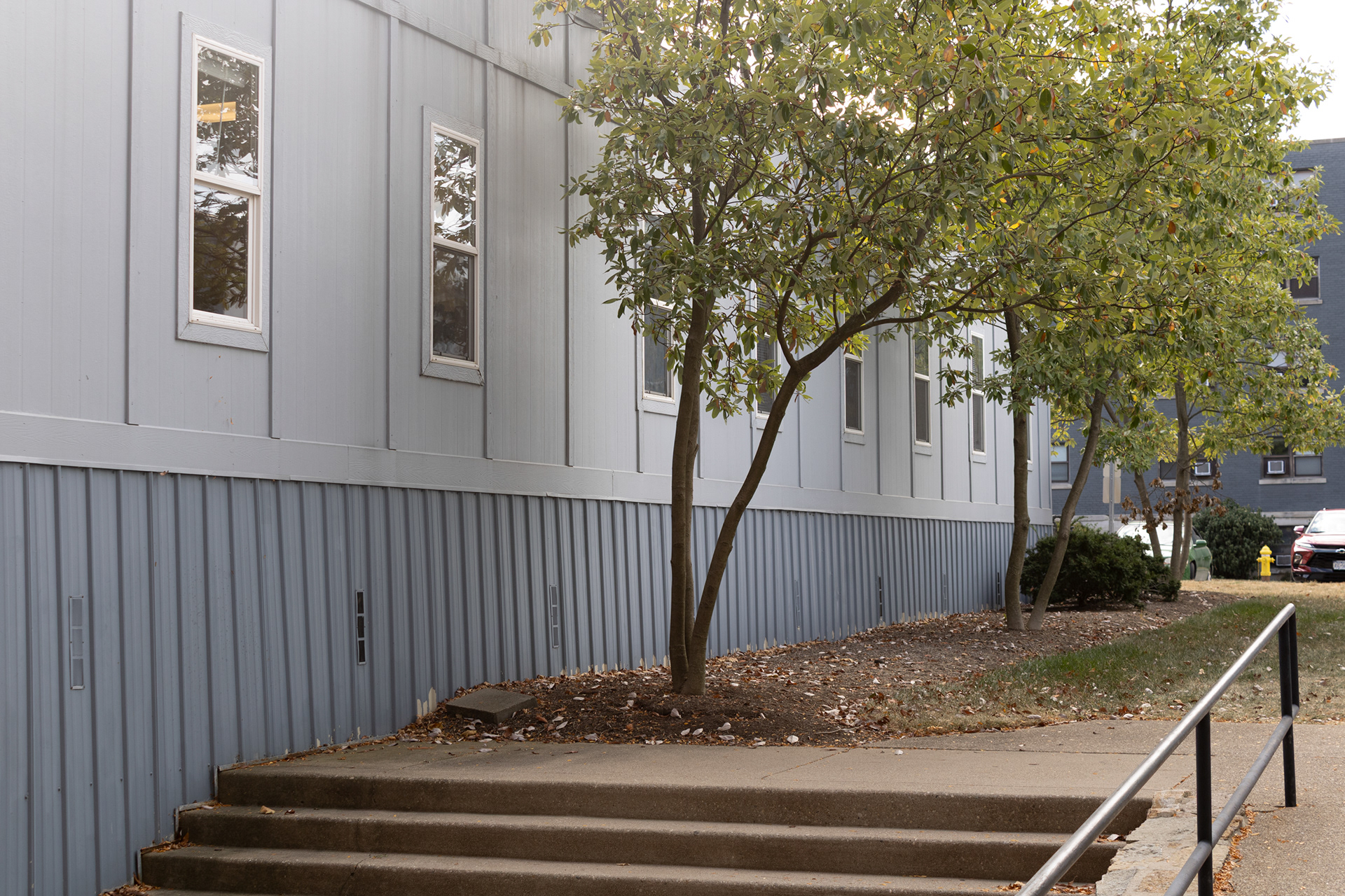 "Where Are You Going?"(2024), Dogotal Photography, This was captured right before fall was going into full affect but still was present. The muted tones but leaves still trying to thrive.