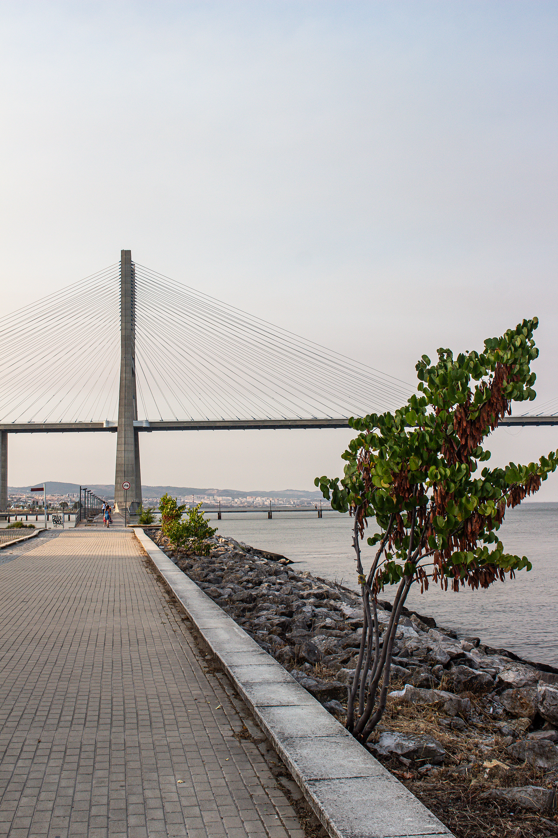 Ponte Vasco da Gama