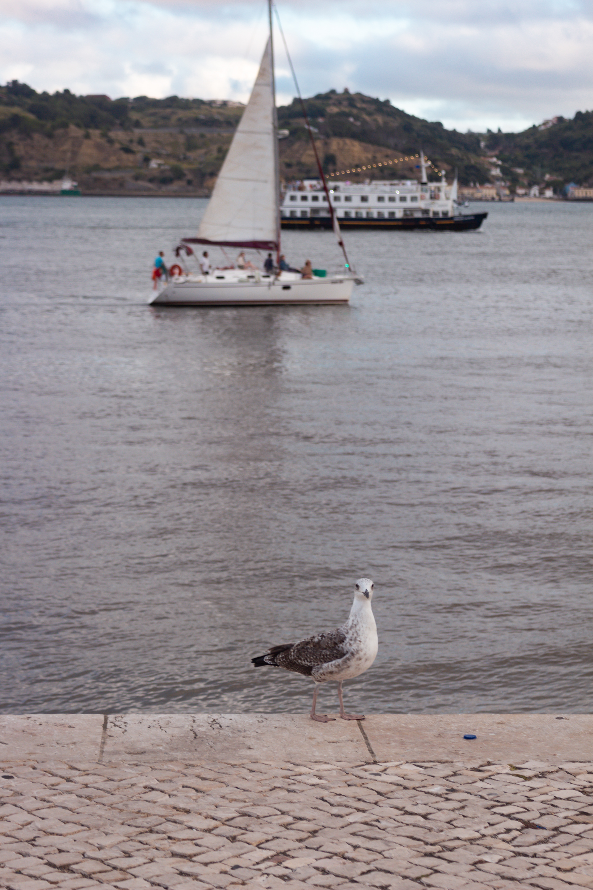 Padrão dos Descobrimentos
