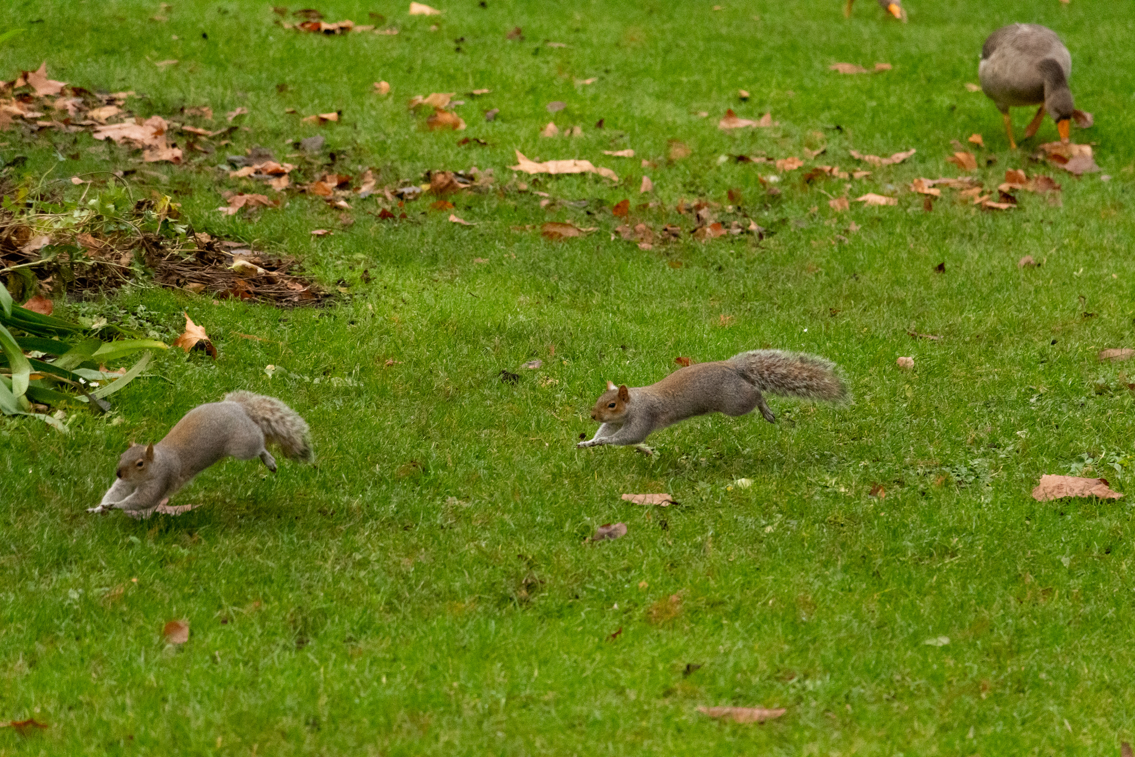 13 London 2 Londres 3 São Paulo 10 Paris Cerrillos Uyuni 371.829 fotos St. James's Park