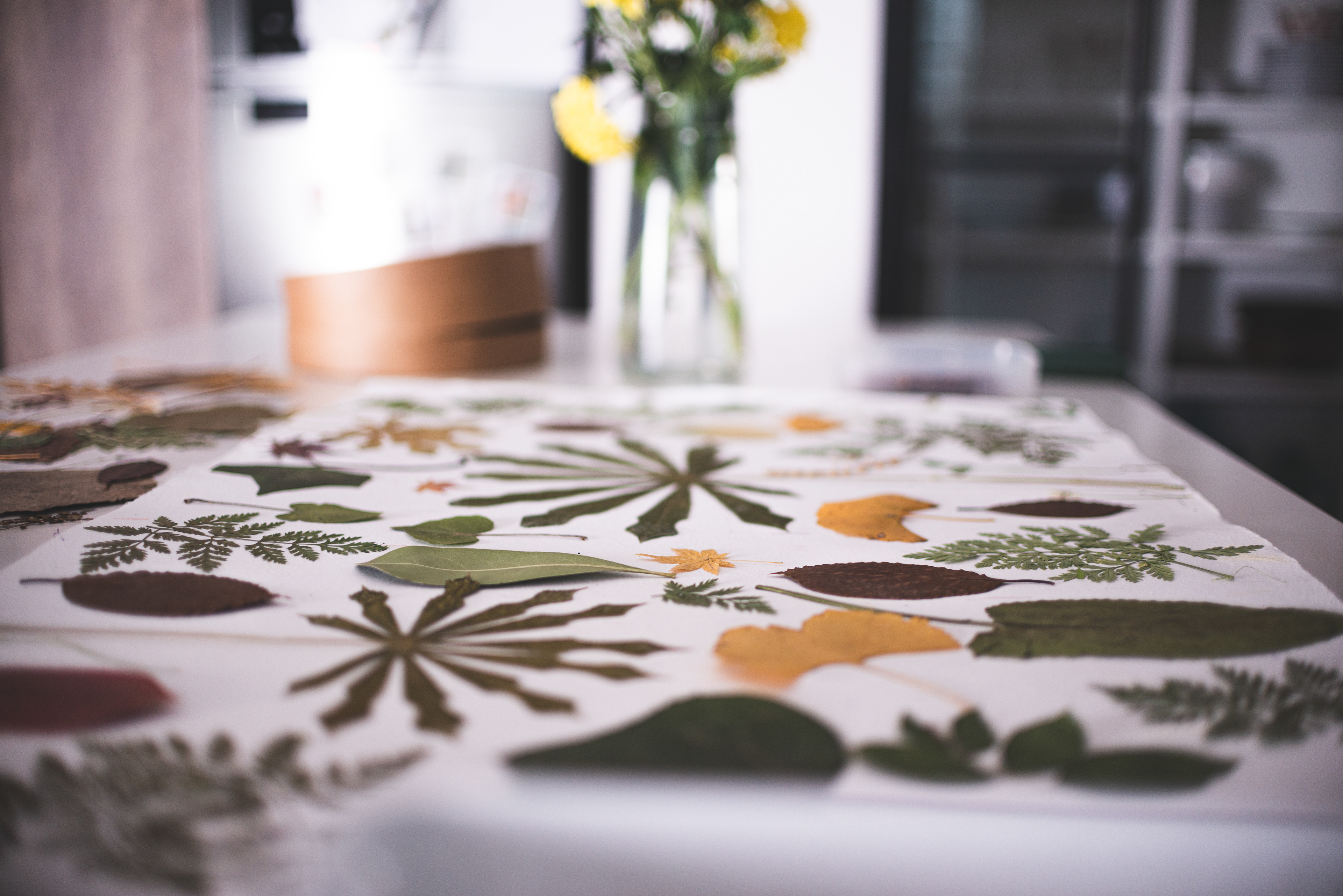 Copyright© 2021 ONPH fotografía. Todos los derechos reservados.