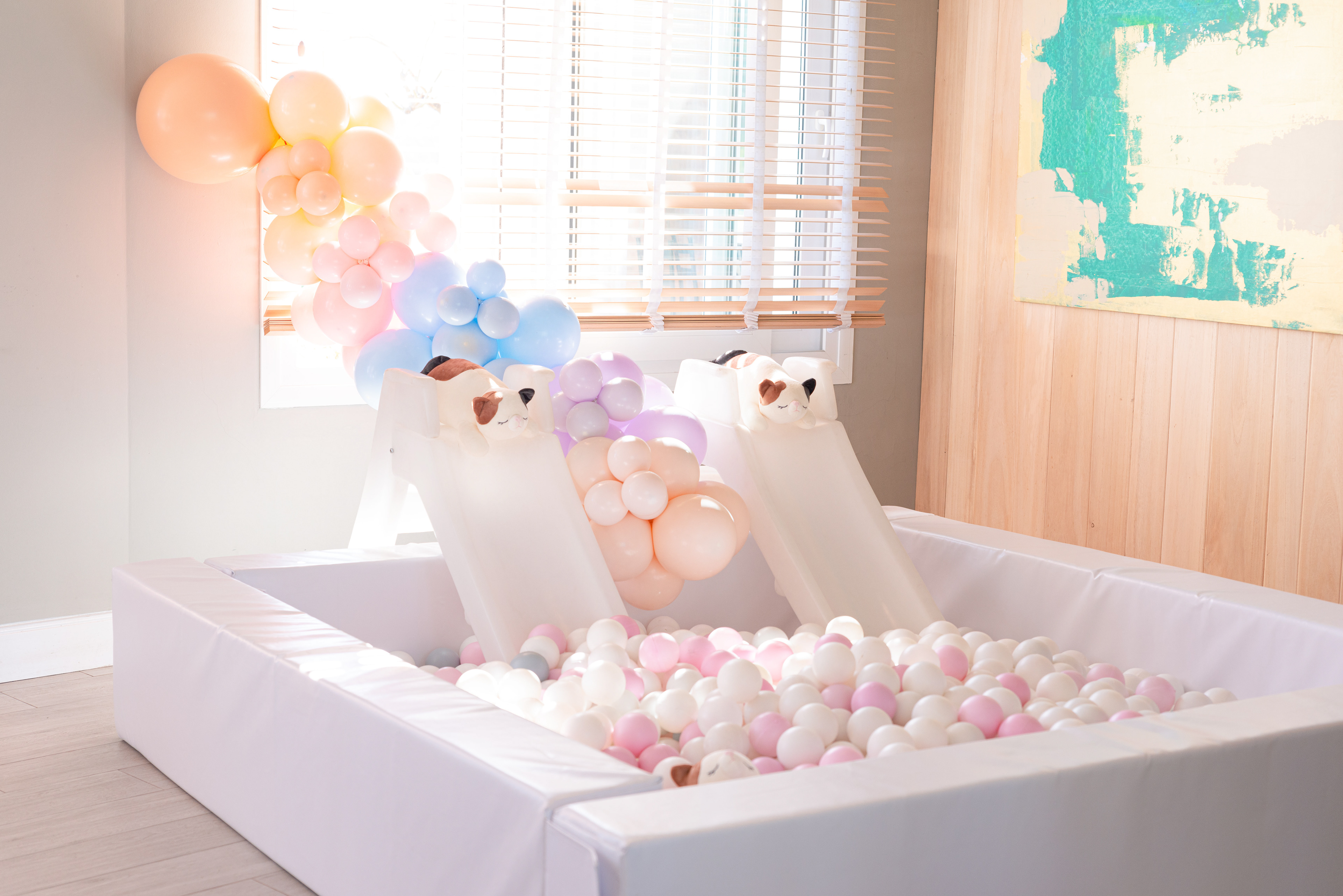 Copyright© ONPH fotografia. Todos los Derechos Reservados