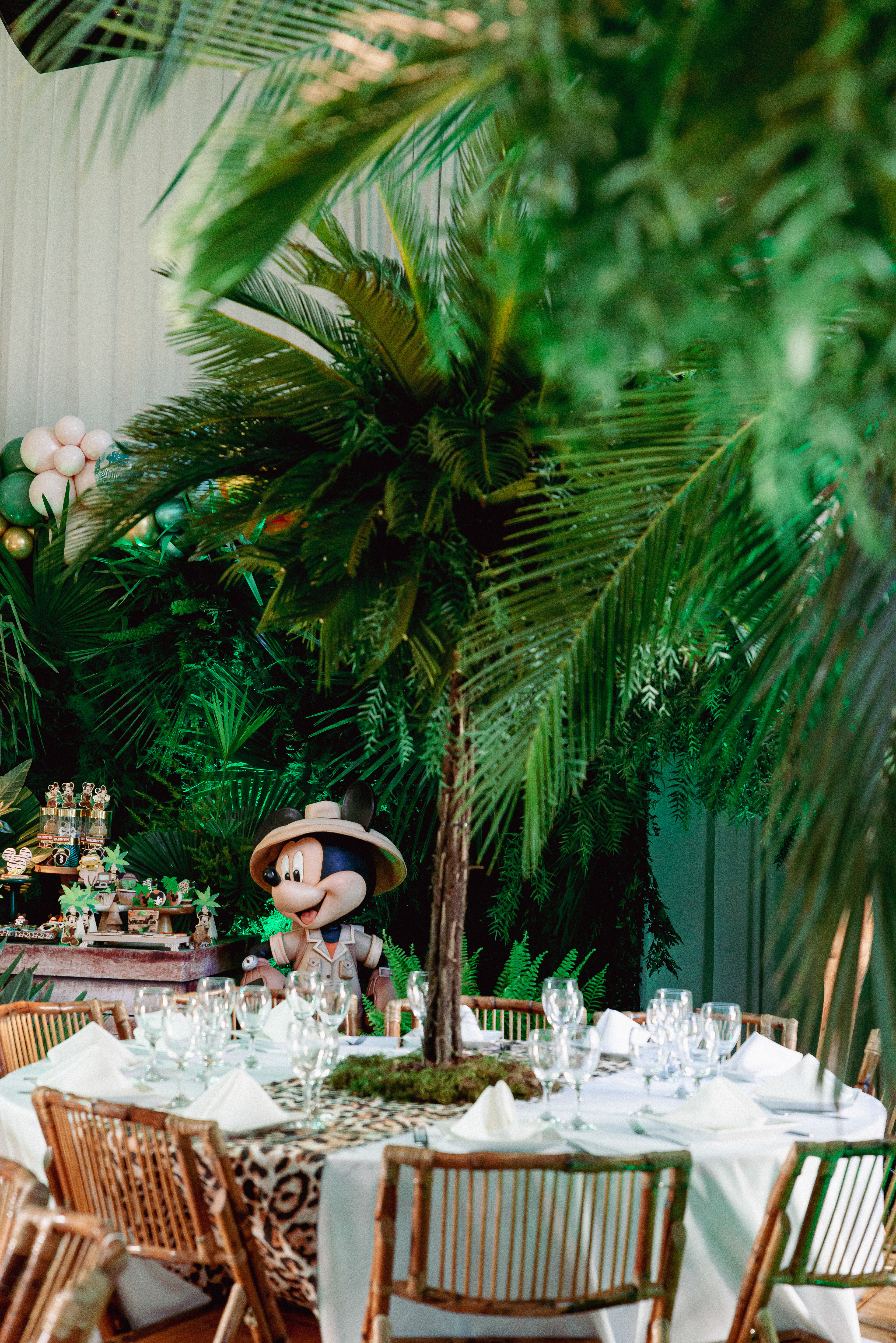 Copyright© ONPH fotografia. Todos los Derechos Reservados