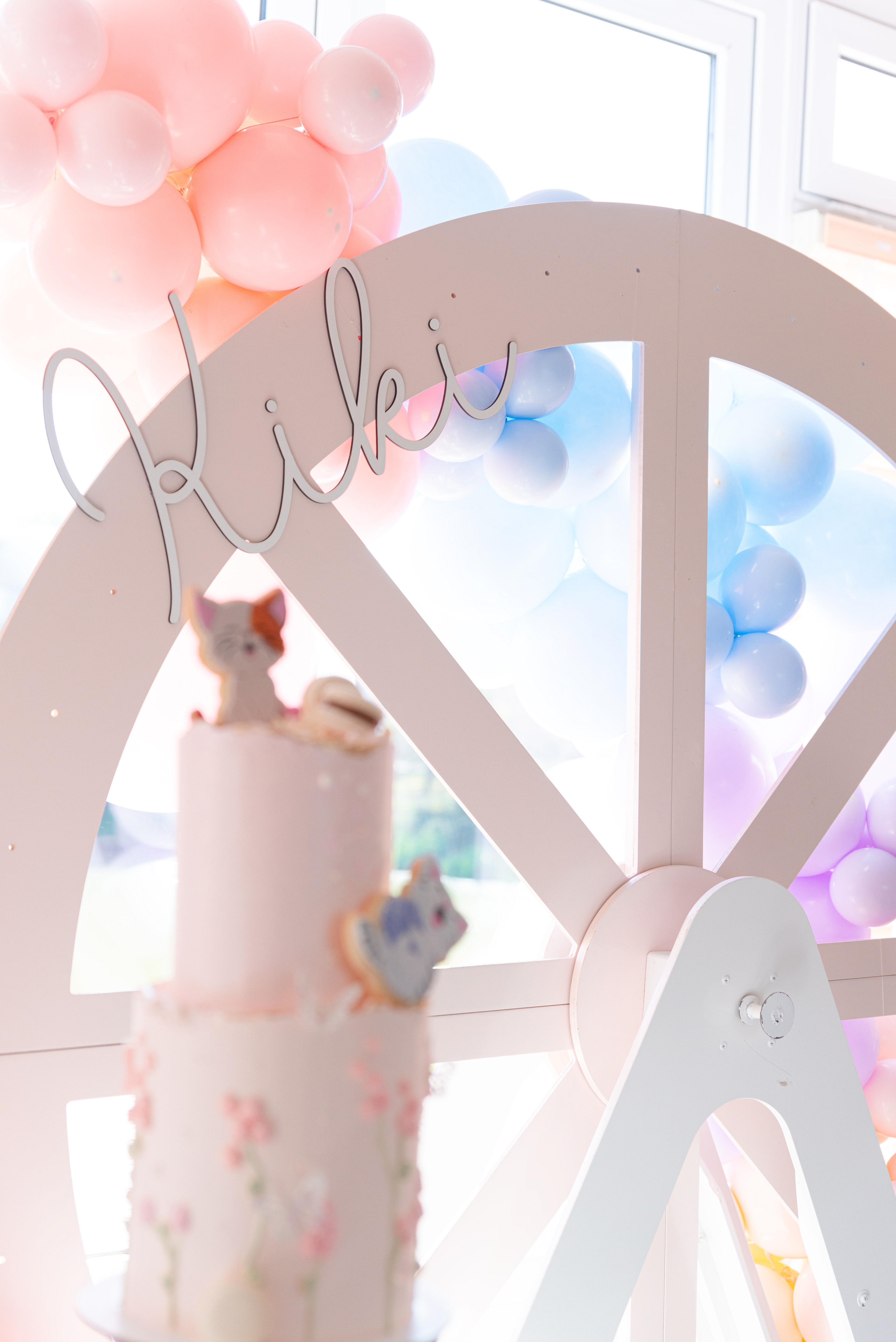 Copyright© ONPH fotografia. Todos los Derechos Reservados