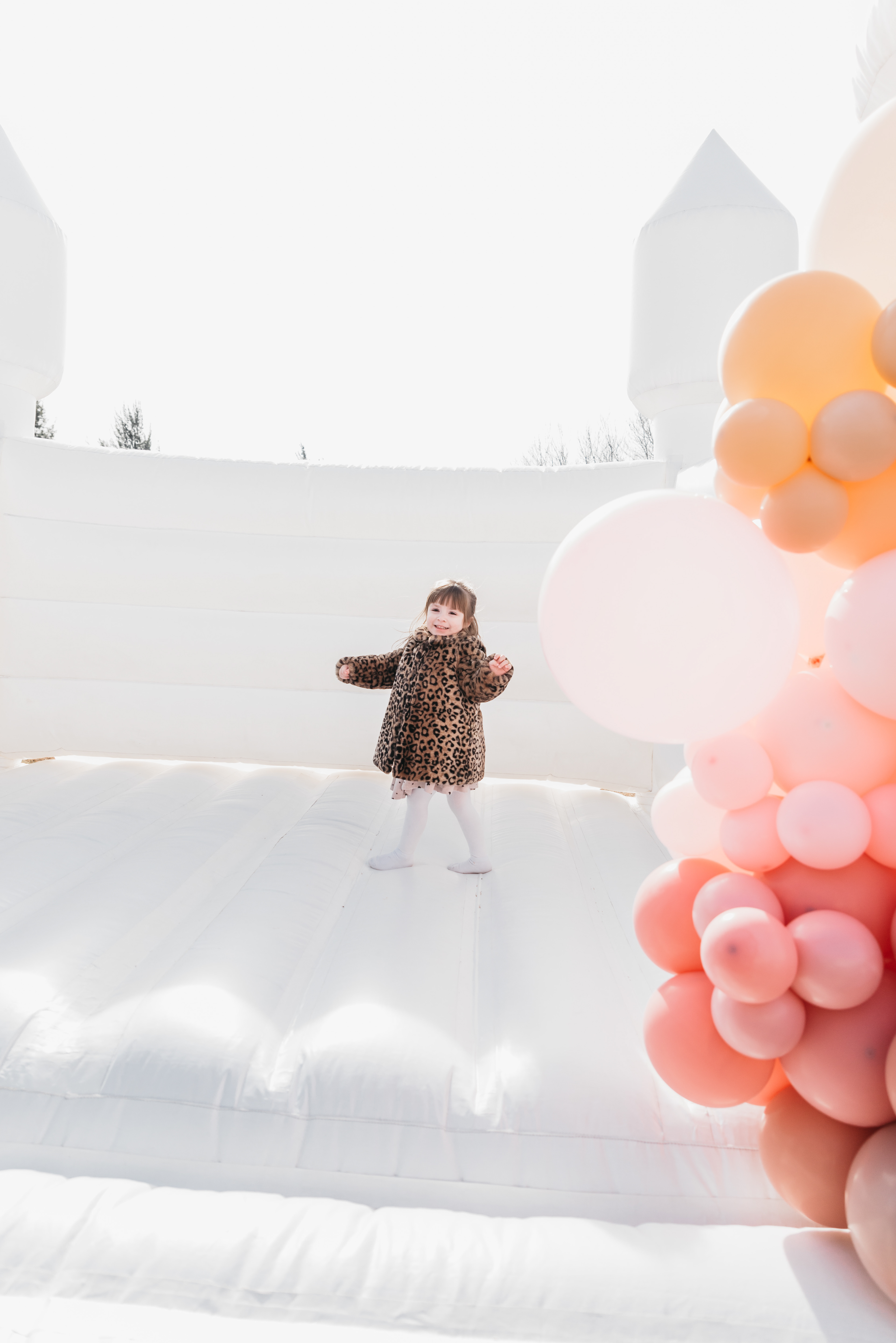 Copyright© ONPH fotografia. Todos los Derechos Reservados