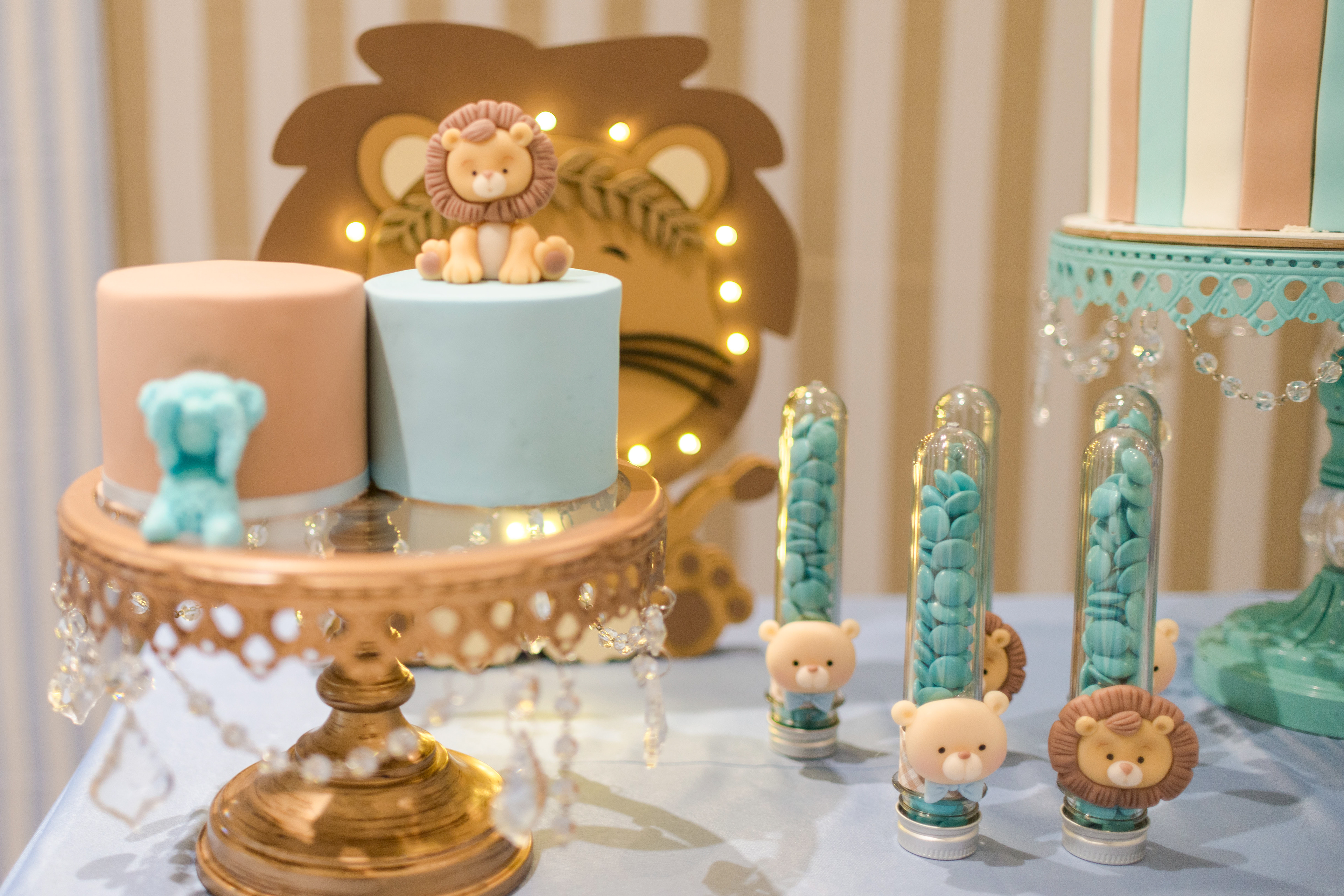 Copyright 2019 ONPH fotografía. Todos los derechos reservados.