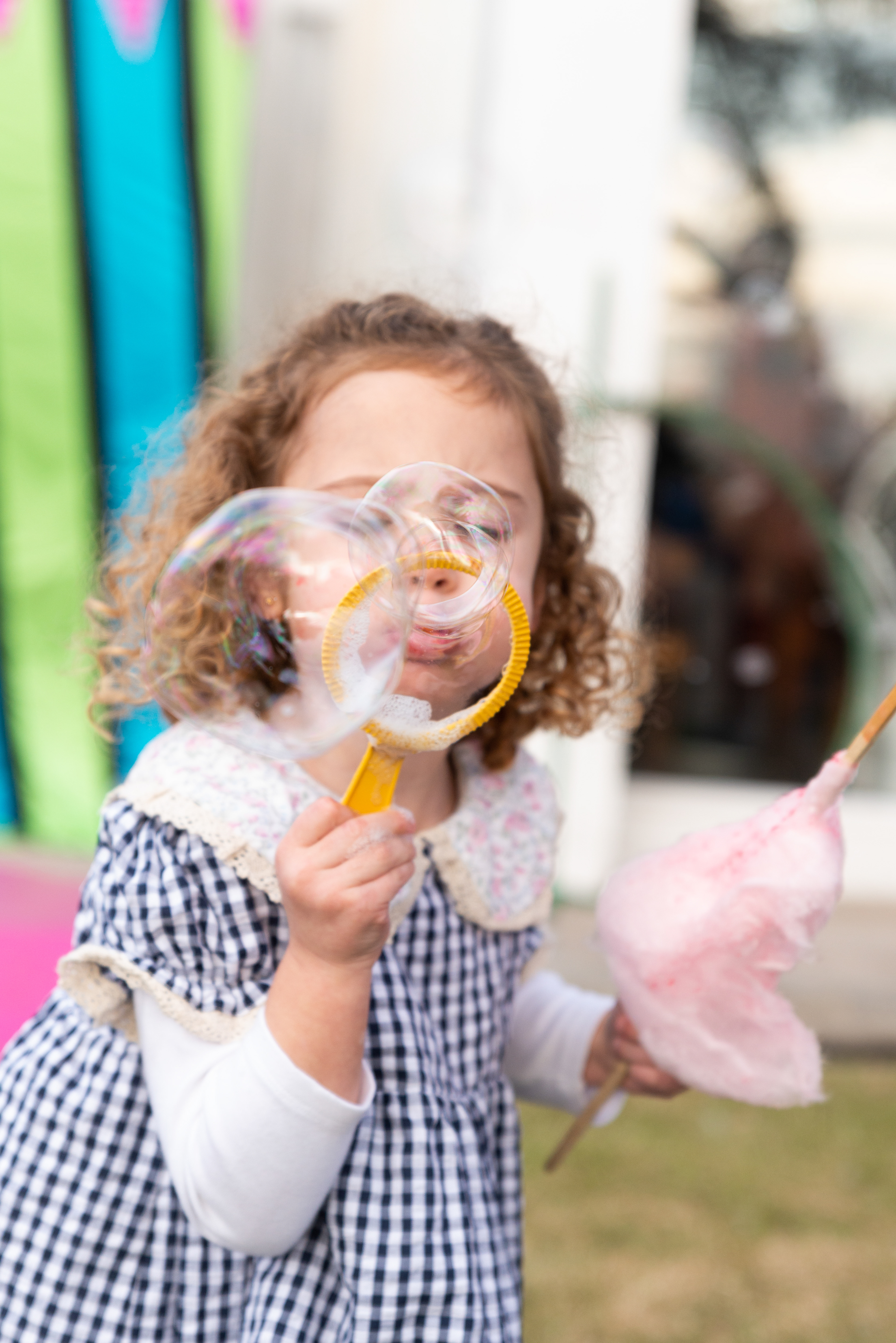 Copyright© ONPH fotografia. Todos los Derechos Reservados