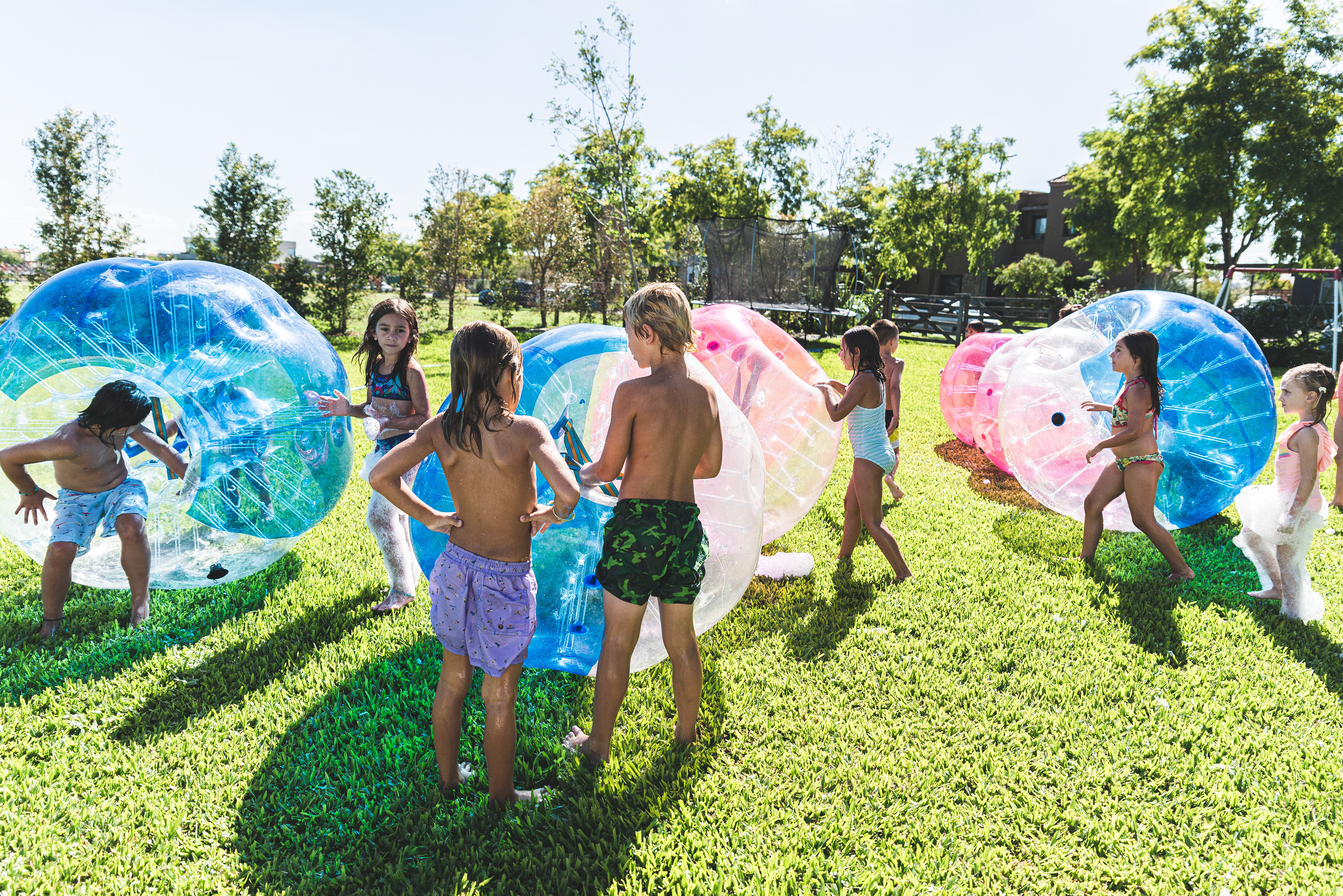 Copyright© ONPH fotografia. Todos los Derechos Reservados