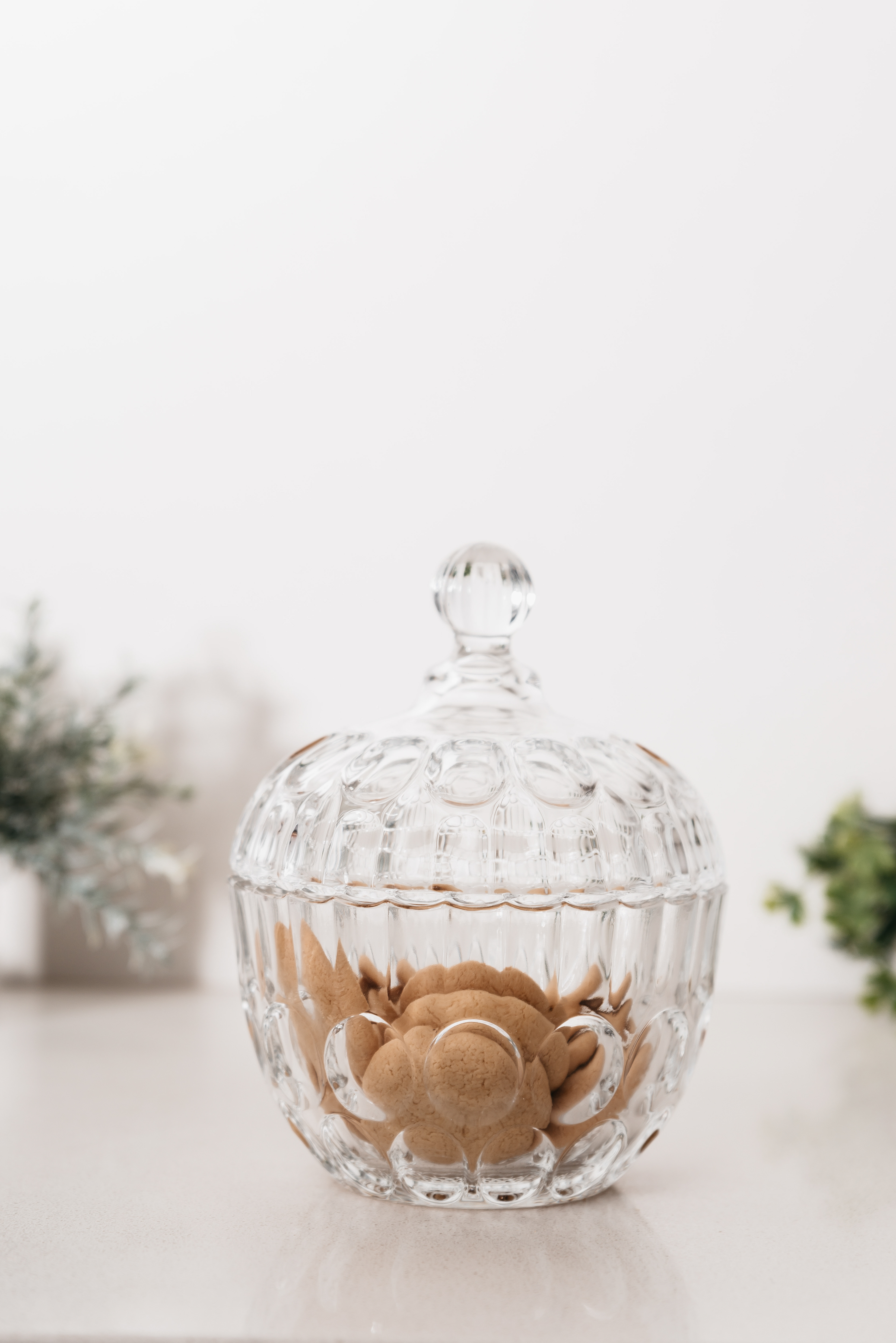 Copyright© ONPH fotografia. Todos los Derechos Reservados