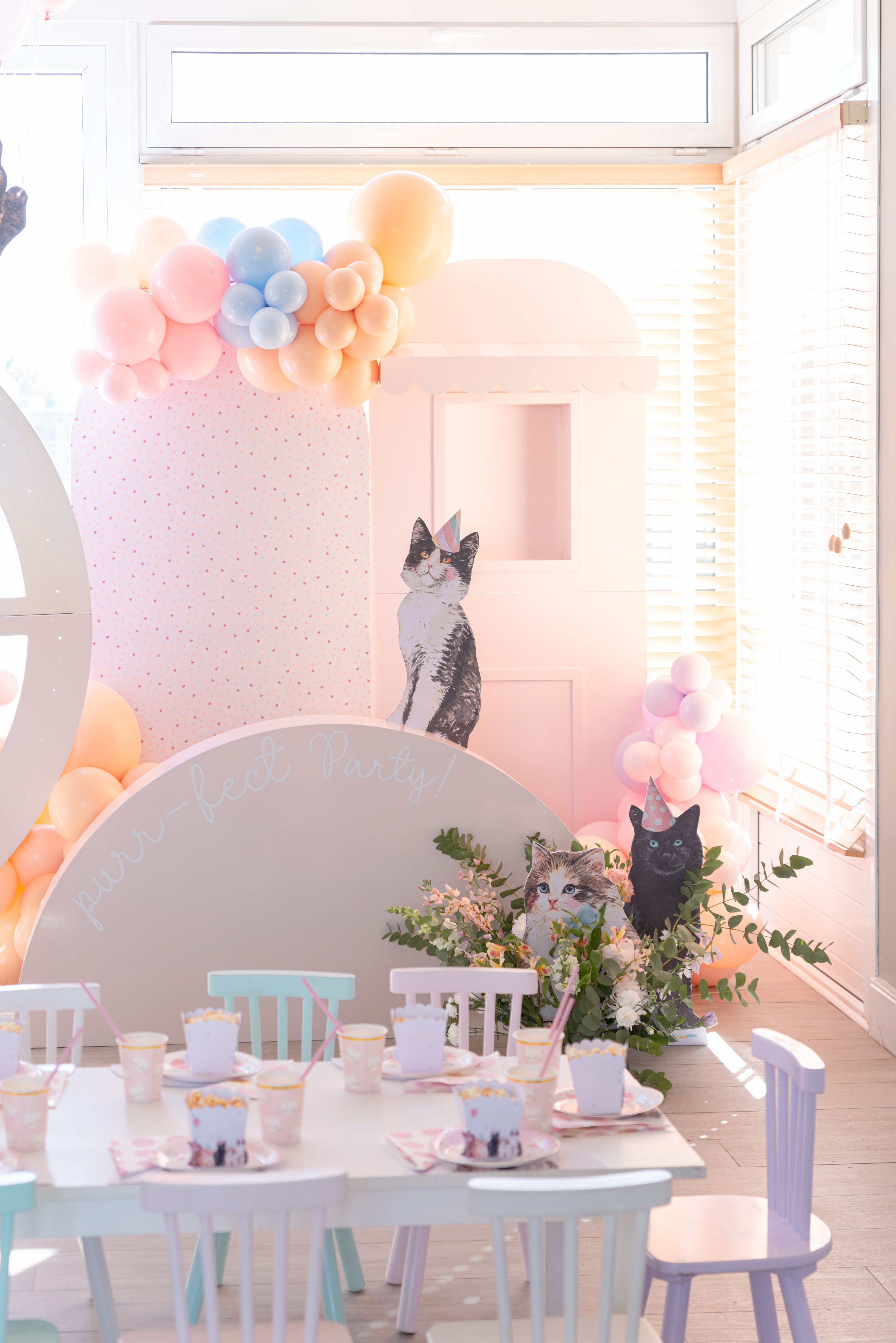 Copyright© ONPH fotografia. Todos los Derechos Reservados