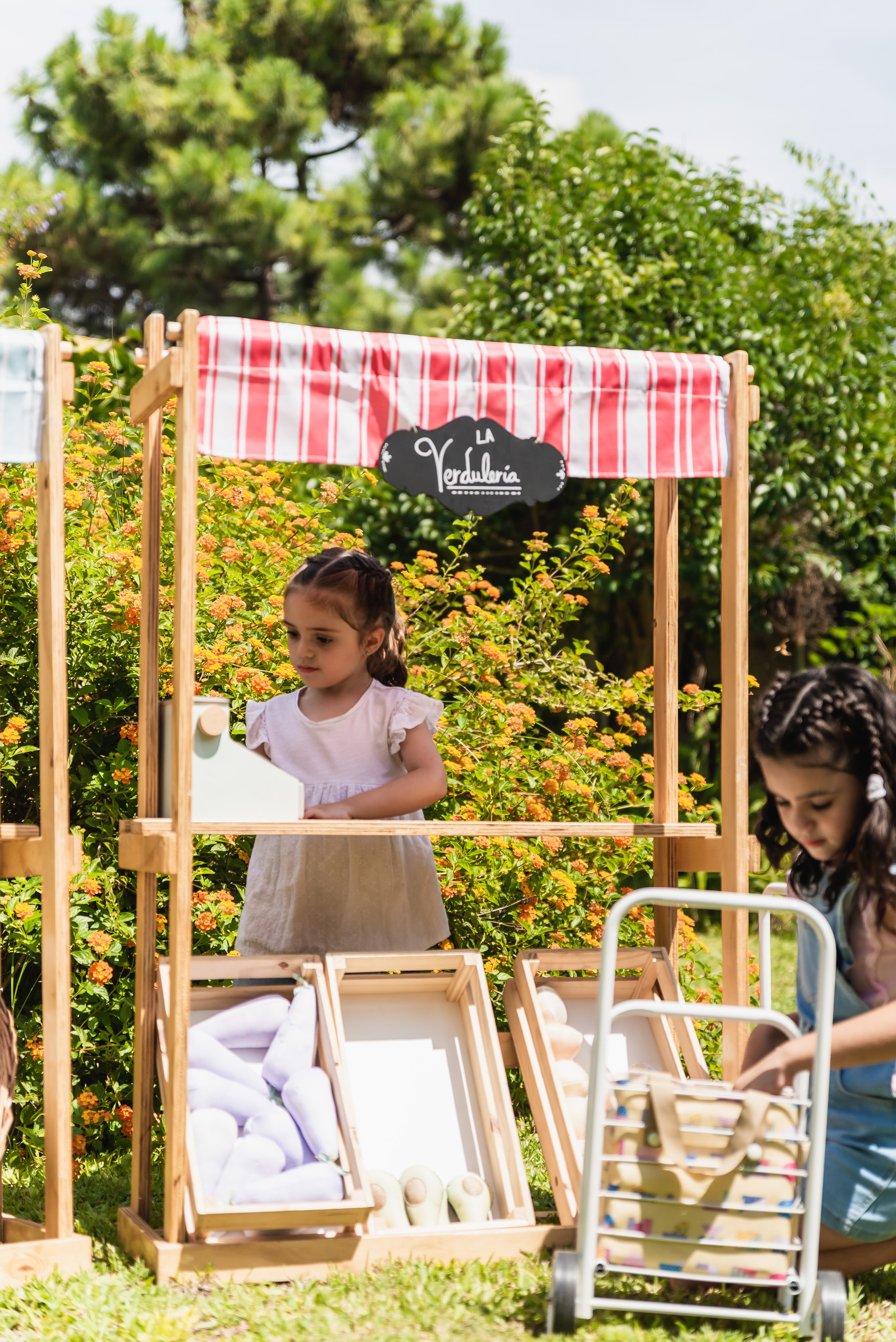 Copyright© ONPH fotografia. Todos los Derechos Reservados