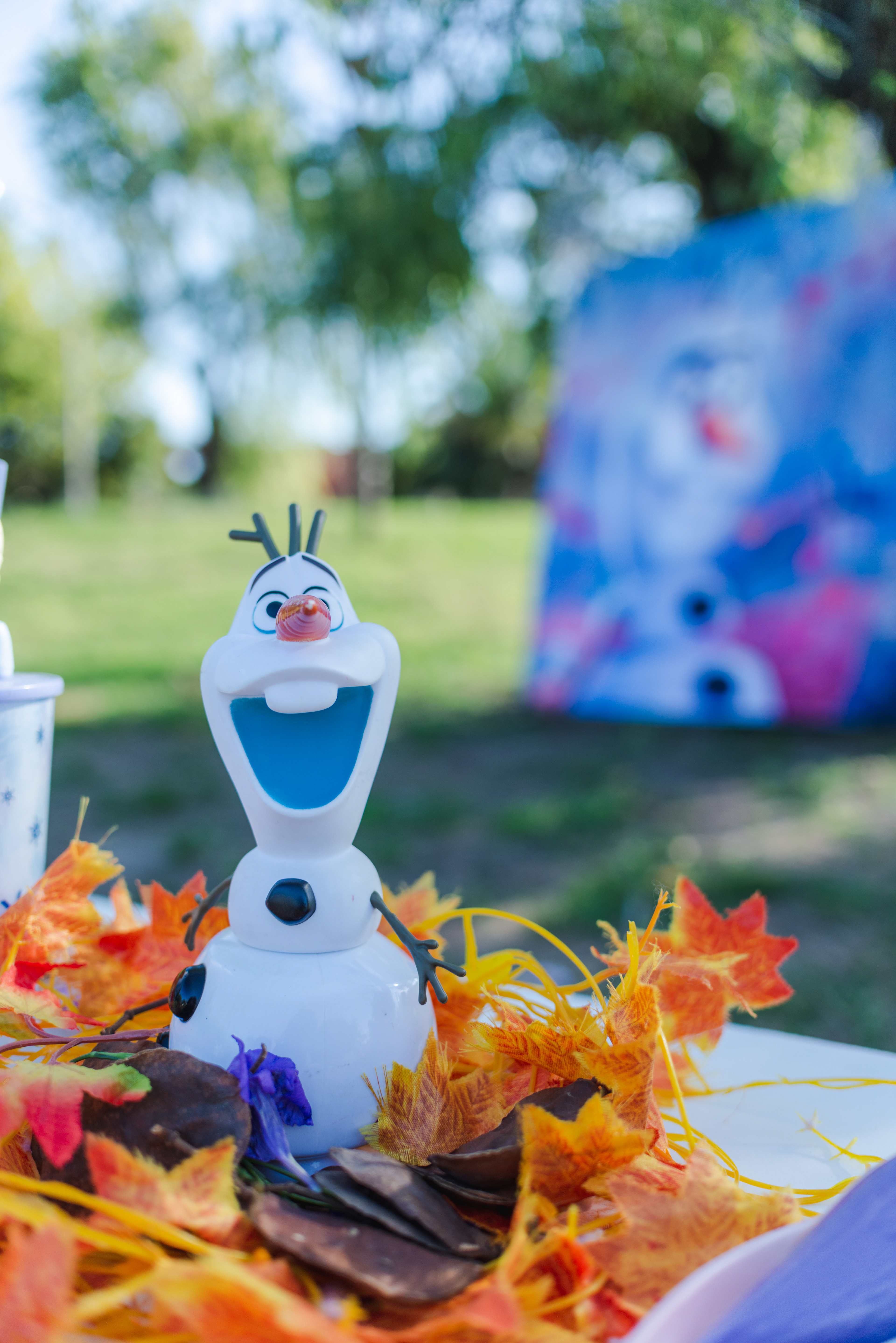 Copyright© 2021 ONPH fotografía. Todos los derechos reservados.