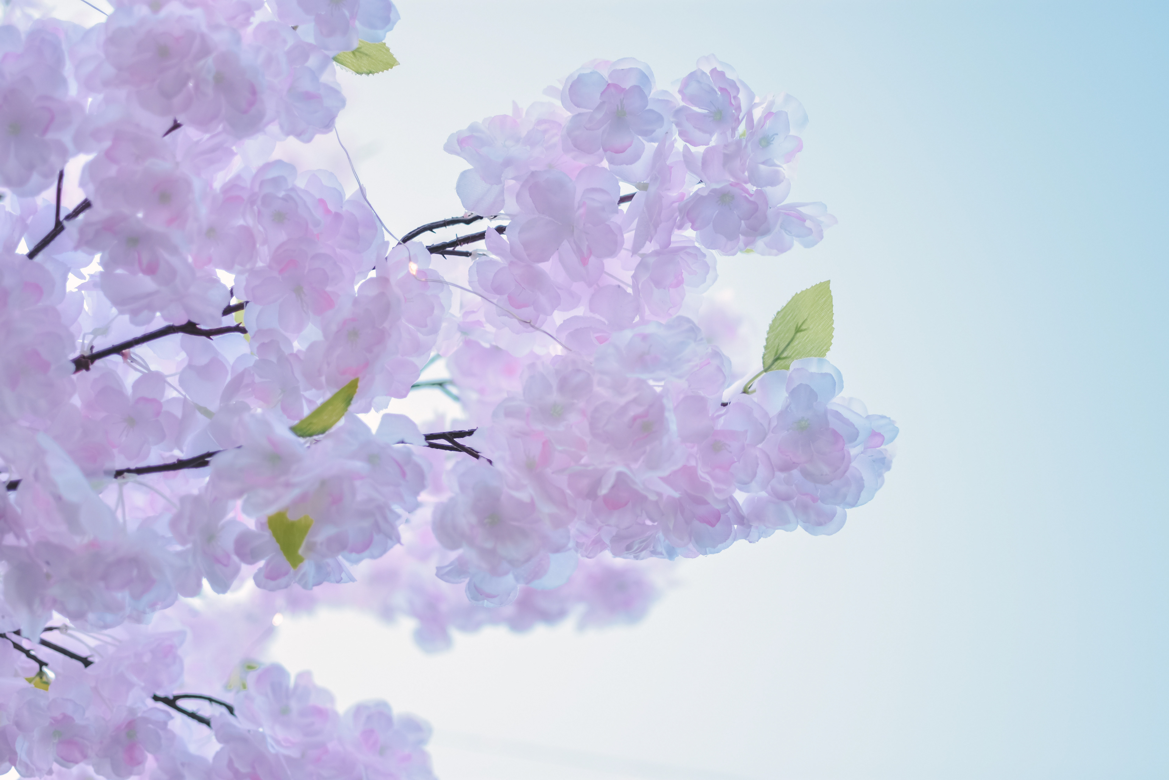 Copyright© 2021 ONPH fotografía. Todos los derechos reservados.