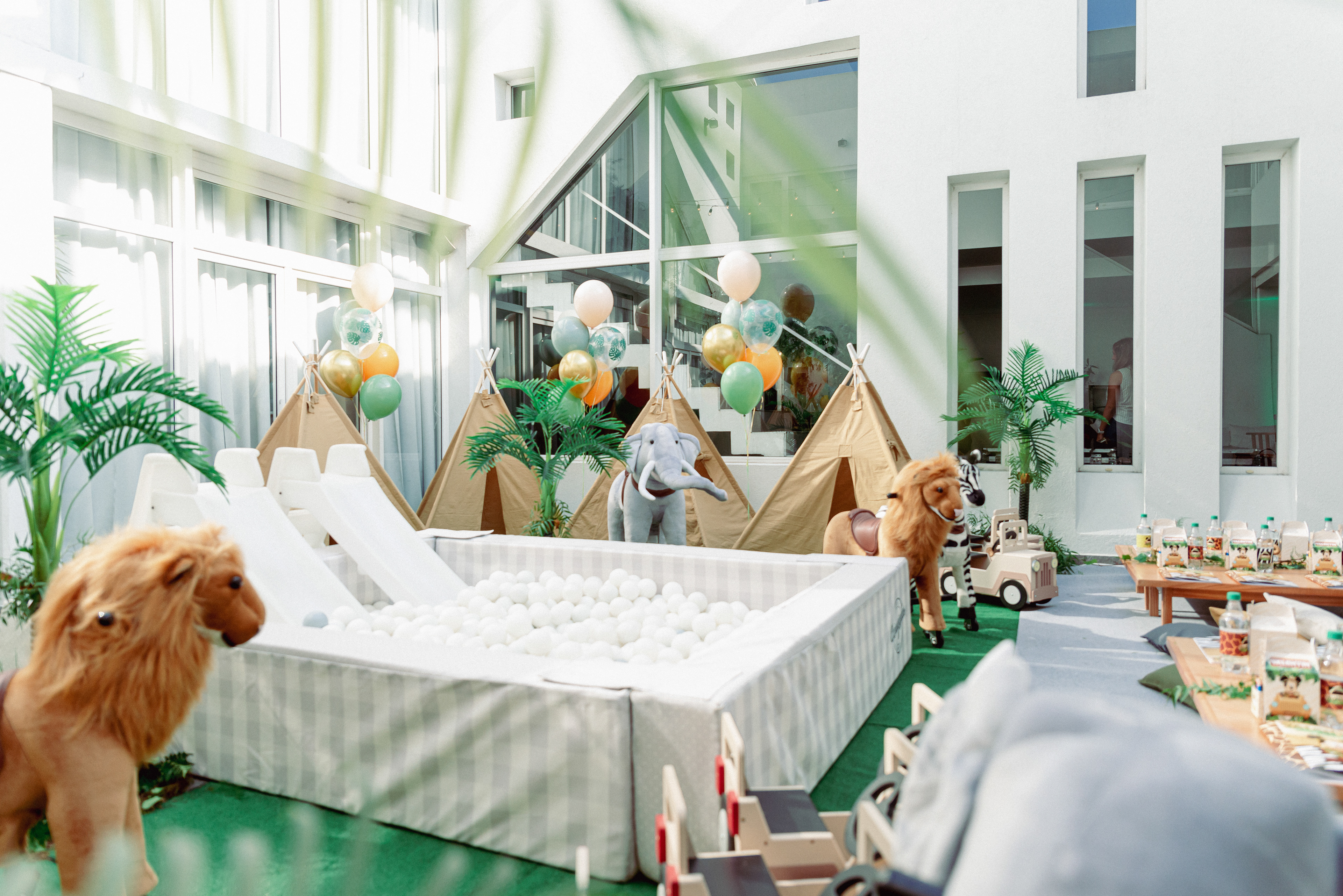 Copyright© ONPH fotografia. Todos los Derechos Reservados