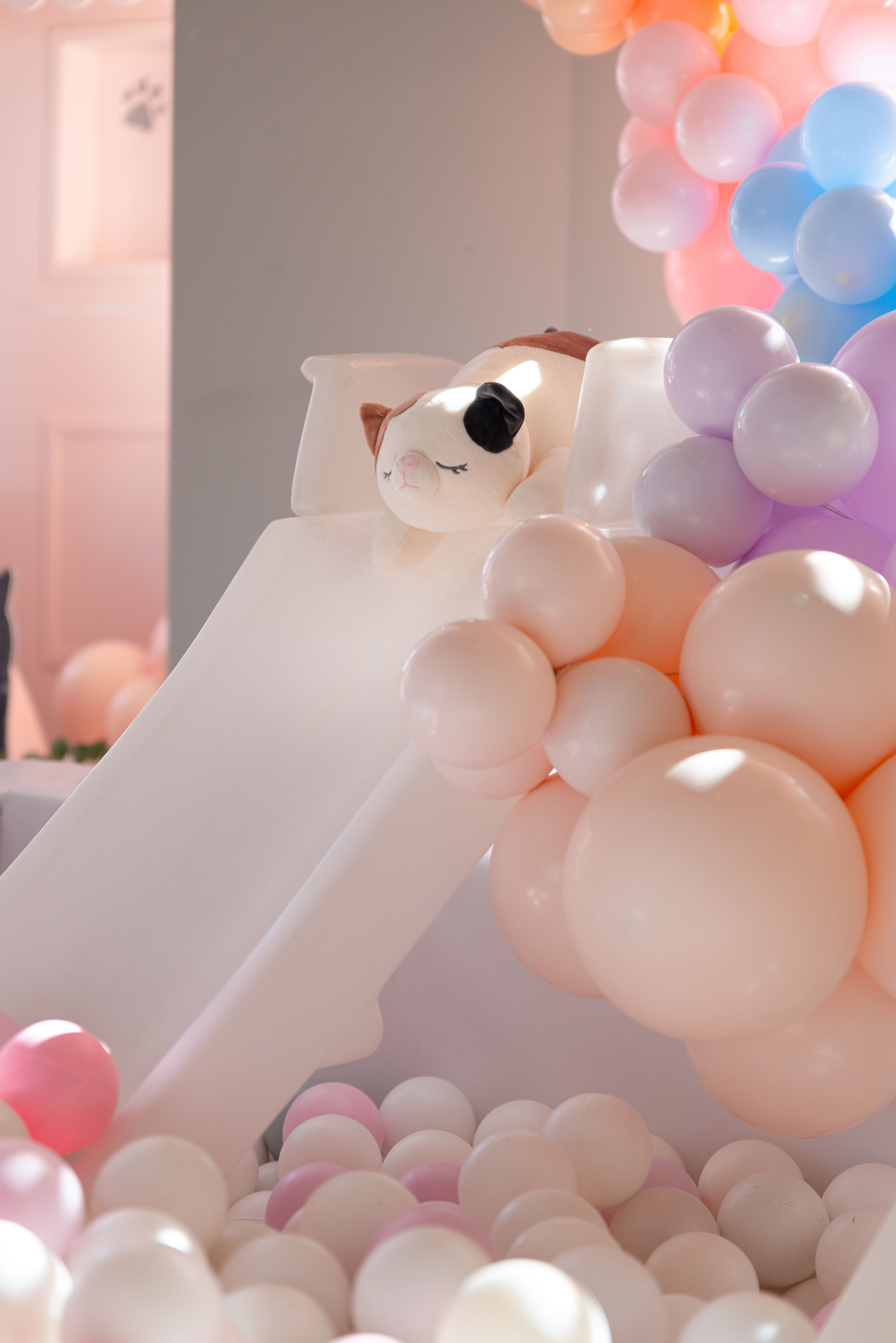 Copyright© ONPH fotografia. Todos los Derechos Reservados