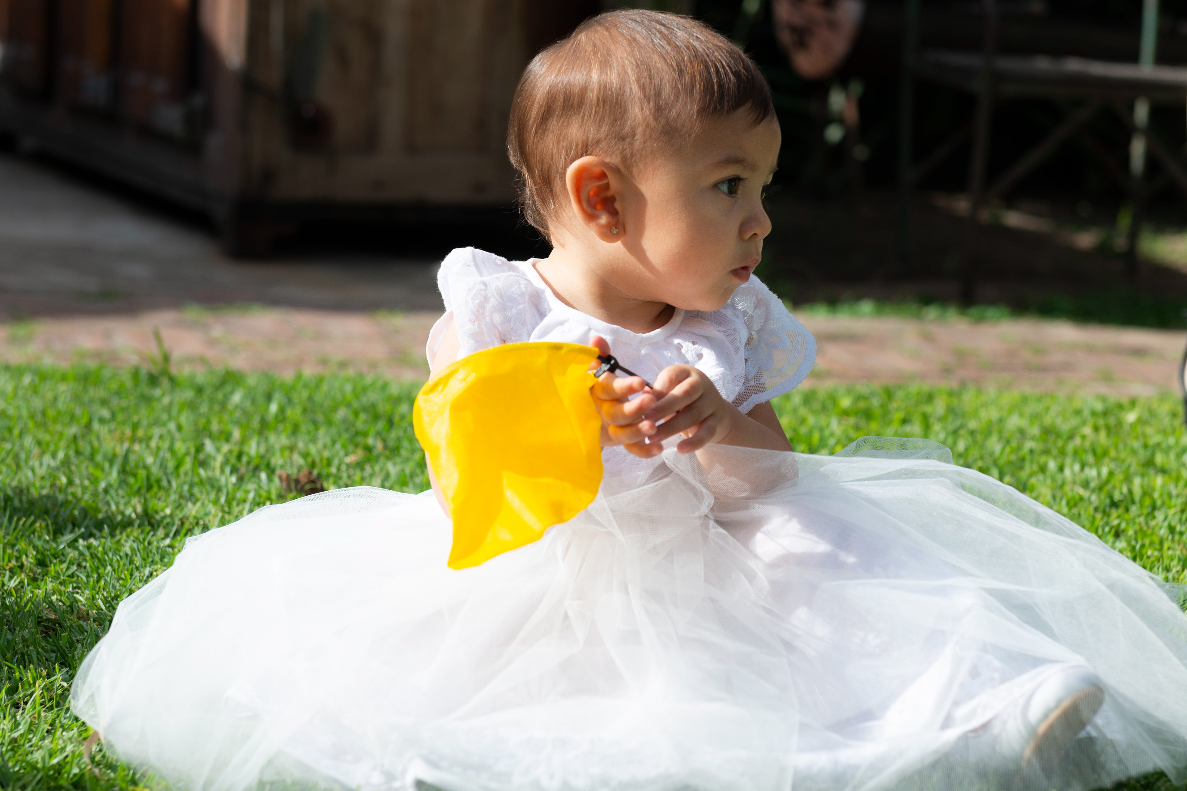 Copyright 2019 ONPH fotografía. Todos los derechos reservados.