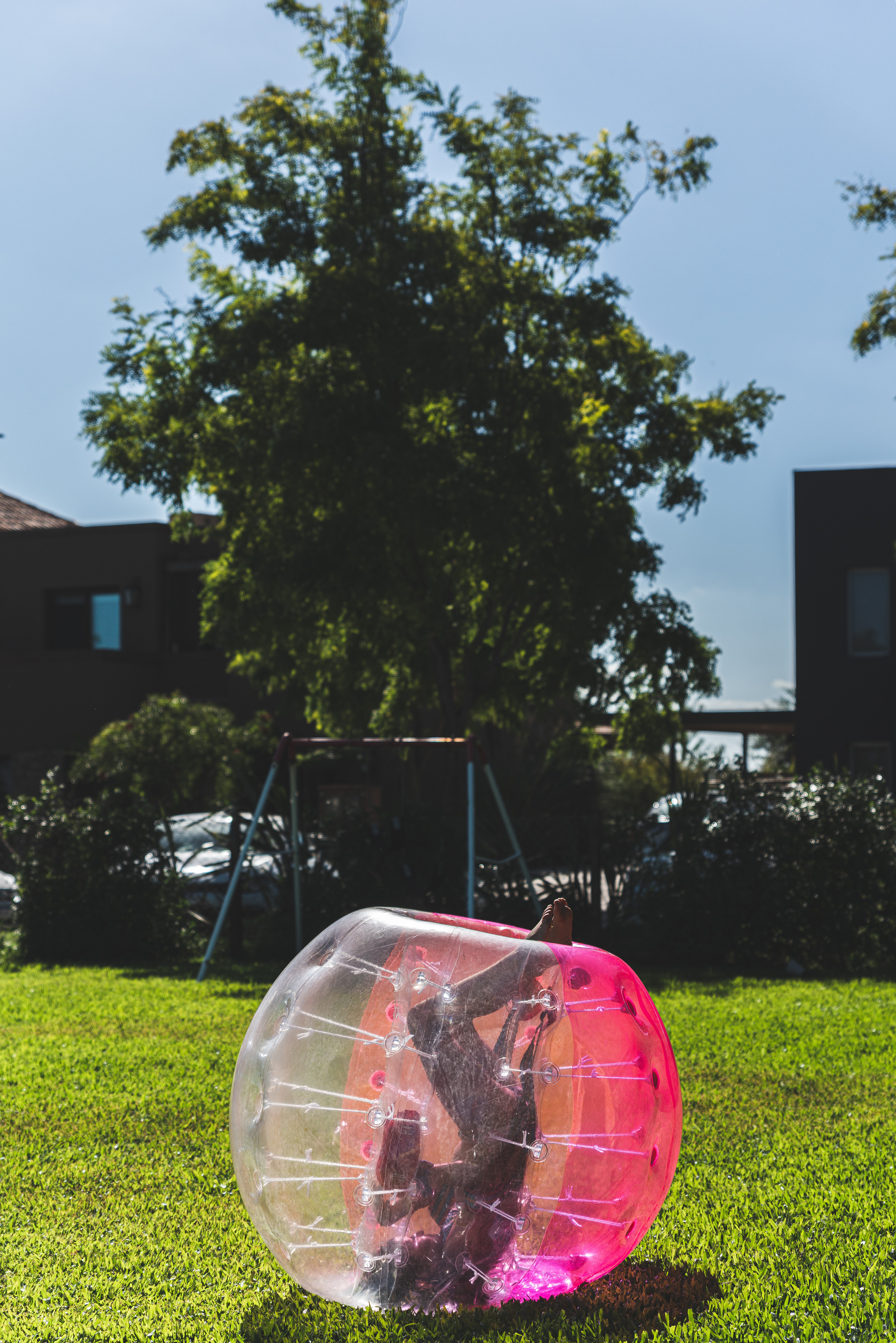 Copyright© ONPH fotografia. Todos los Derechos Reservados