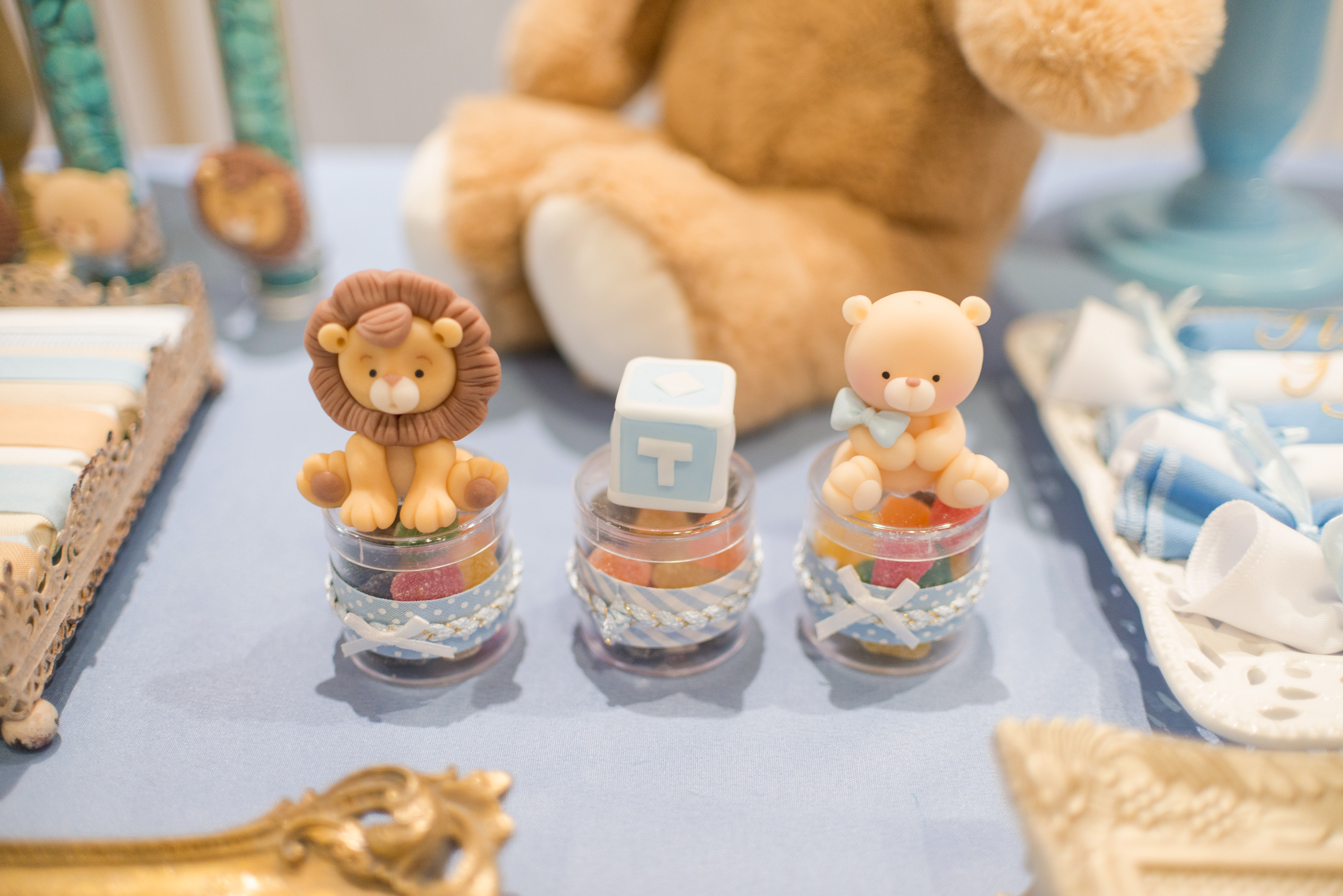 Copyright 2019 ONPH fotografía. Todos los derechos reservados.