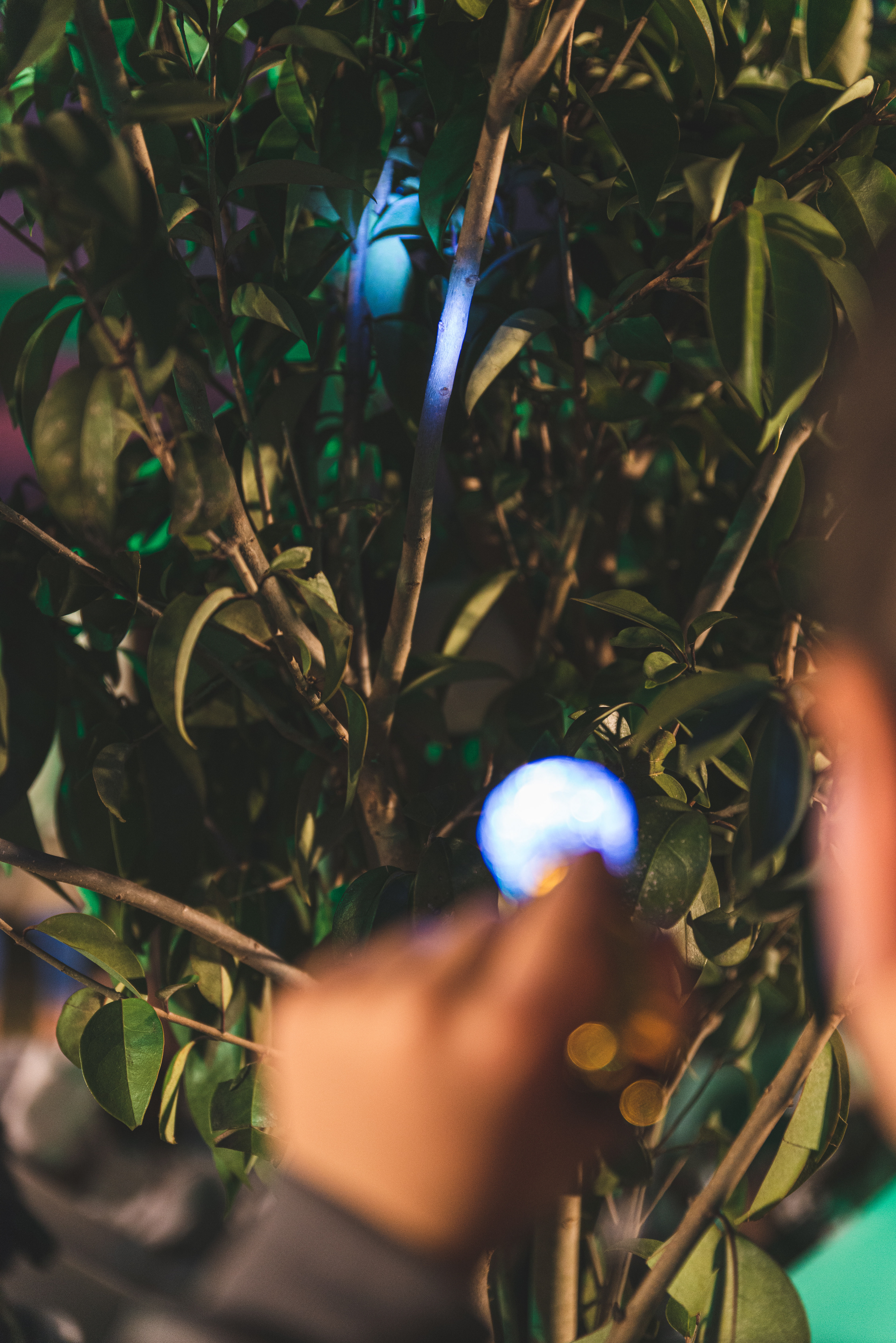 Copyright© ONPH fotografia. Todos los Derechos Reservados