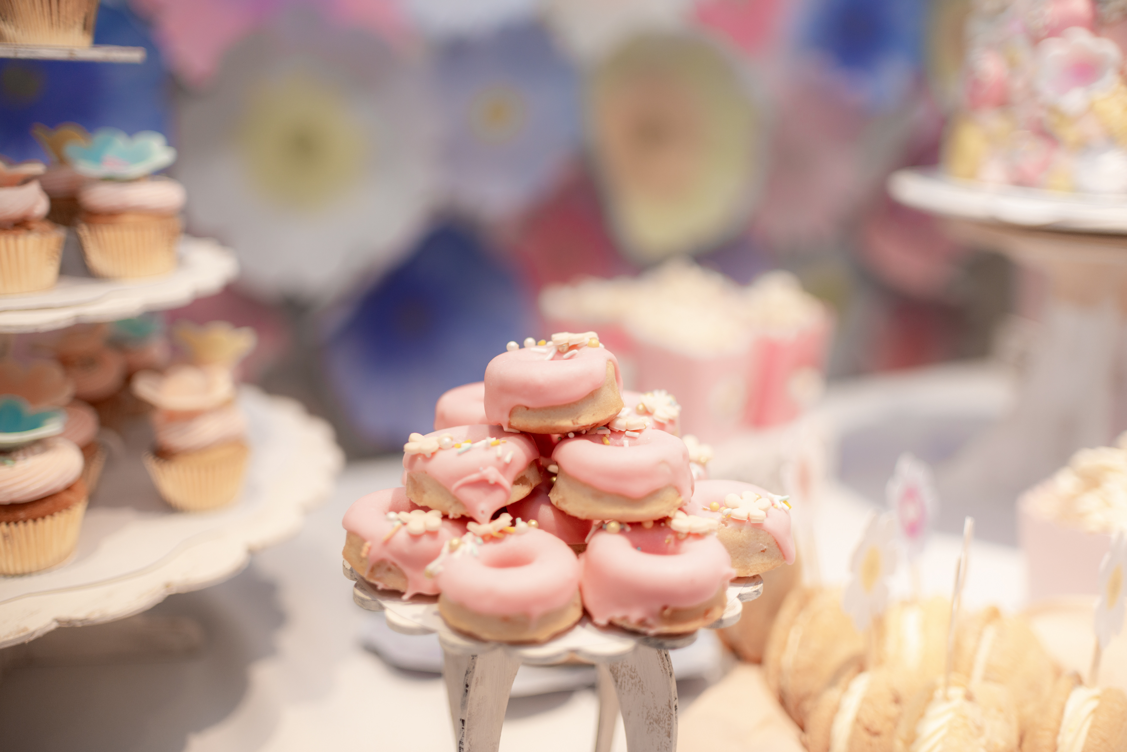 Copyright 2019 ONPH fotografía. Todos los derechos reservados.