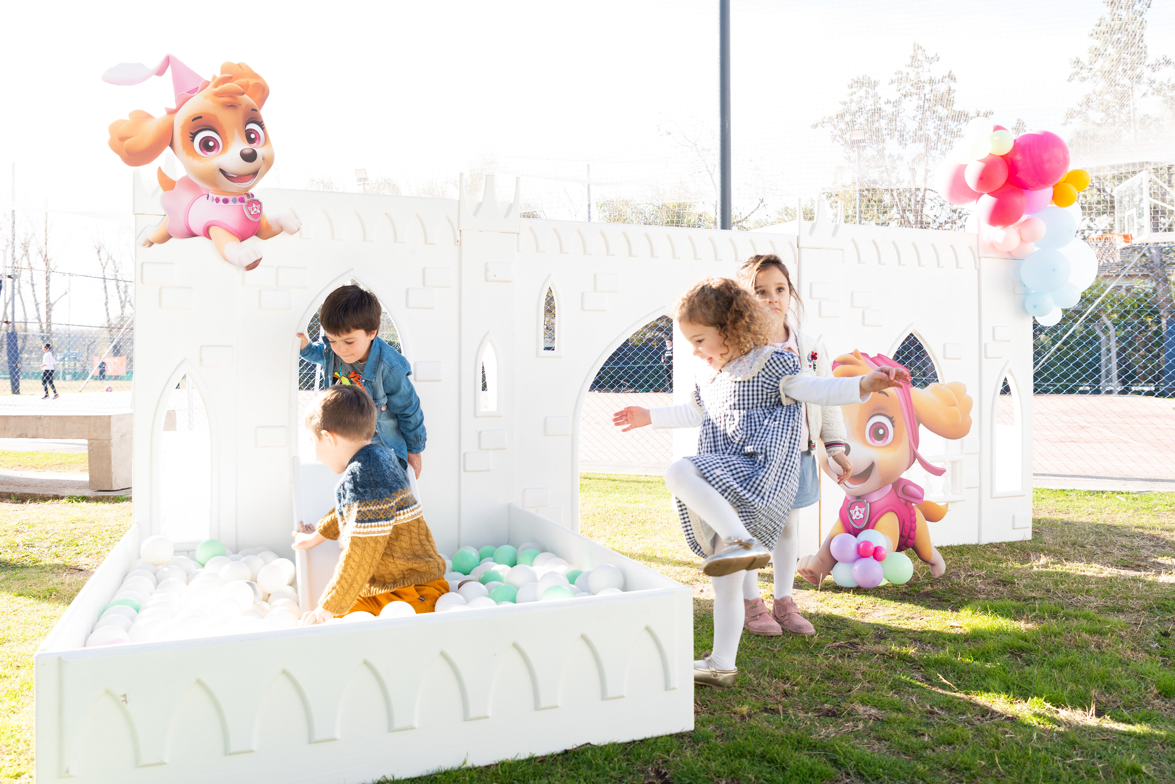 Copyright© ONPH fotografia. Todos los Derechos Reservados