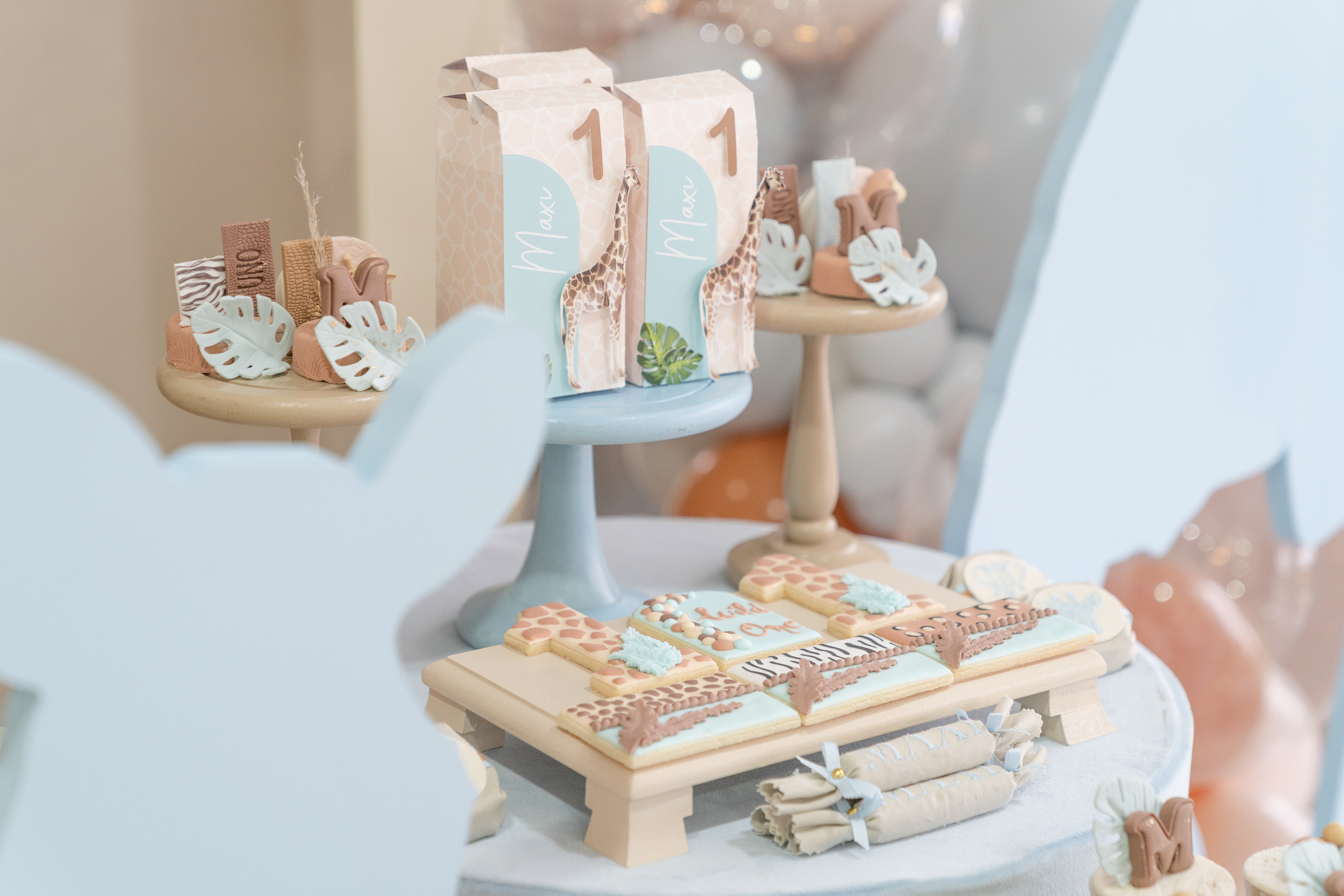 Copyright© ONPH fotografia. Todos los Derechos Reservados