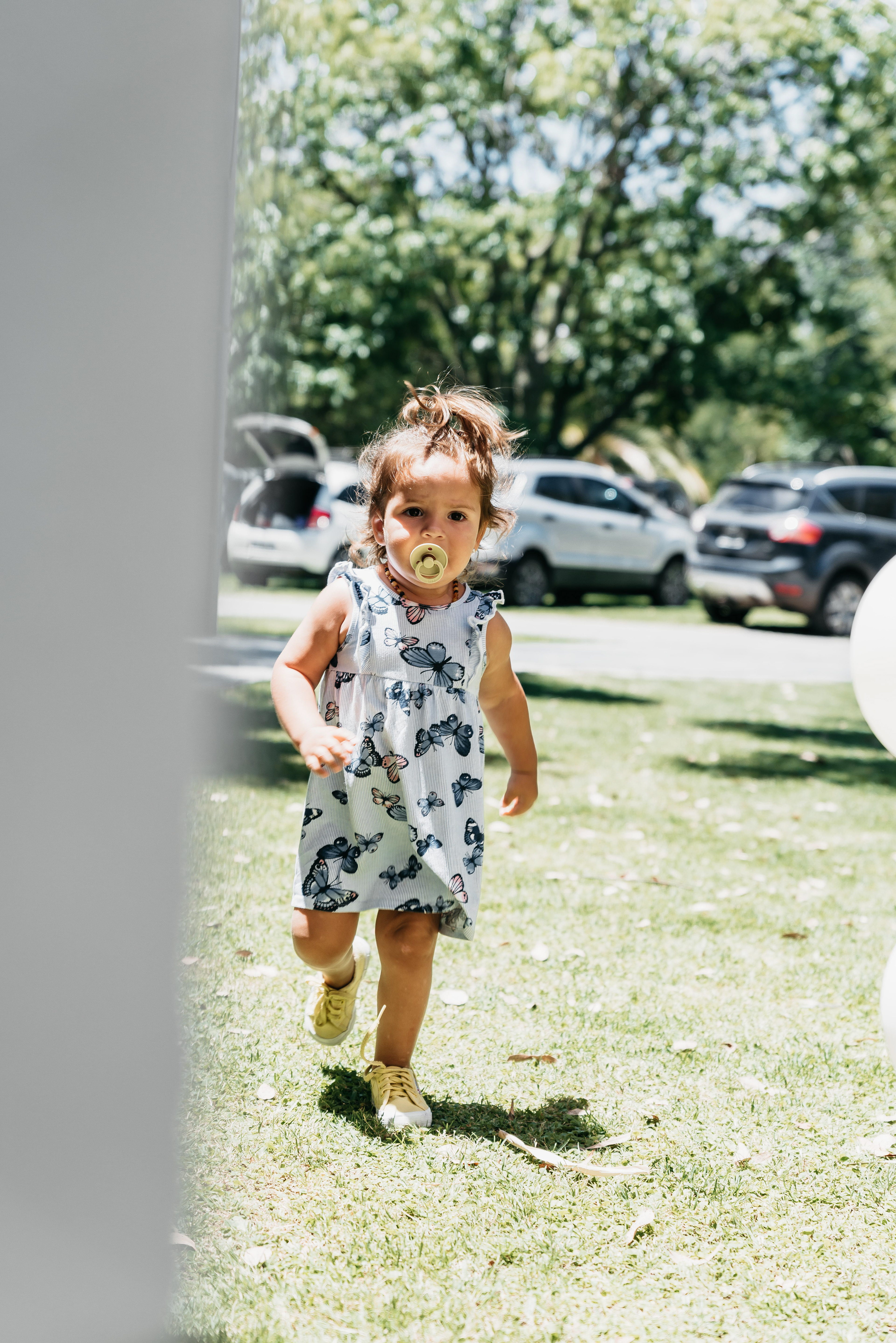 Copyright© ONPH fotografia. Todos los Derechos Reservados