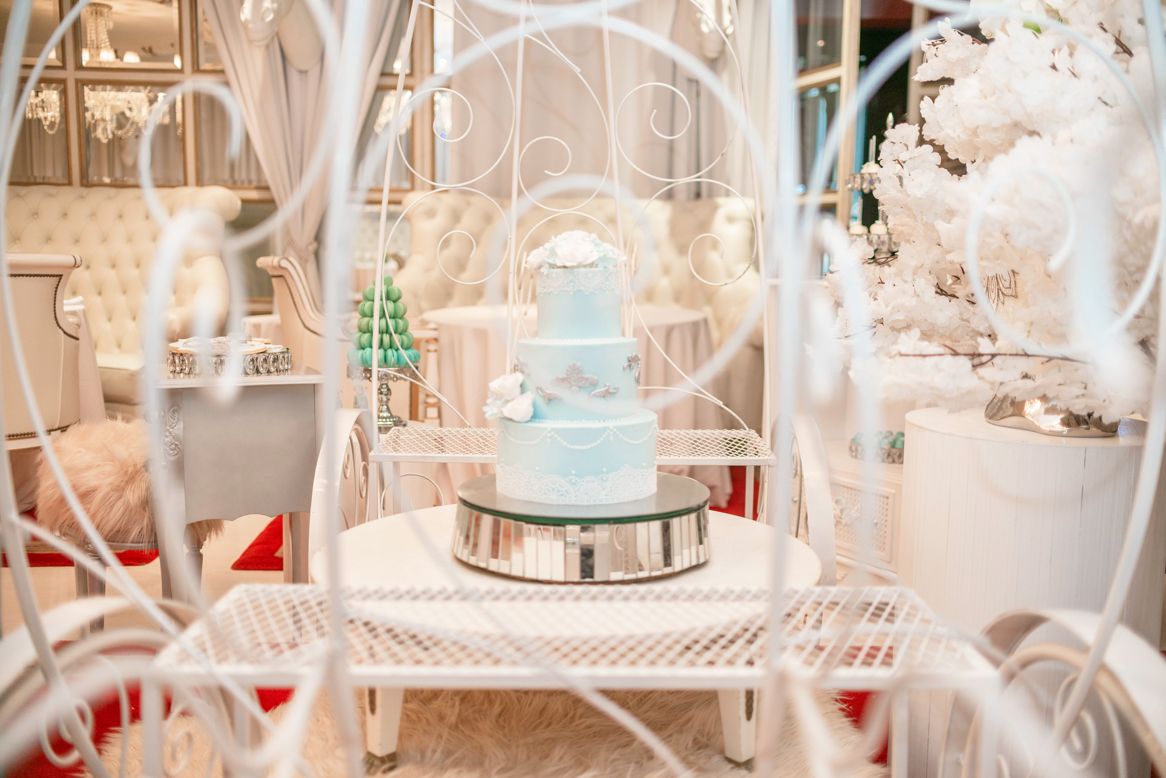 Copyright 2019 ONPH fotografía. Todos los derechos reservados.