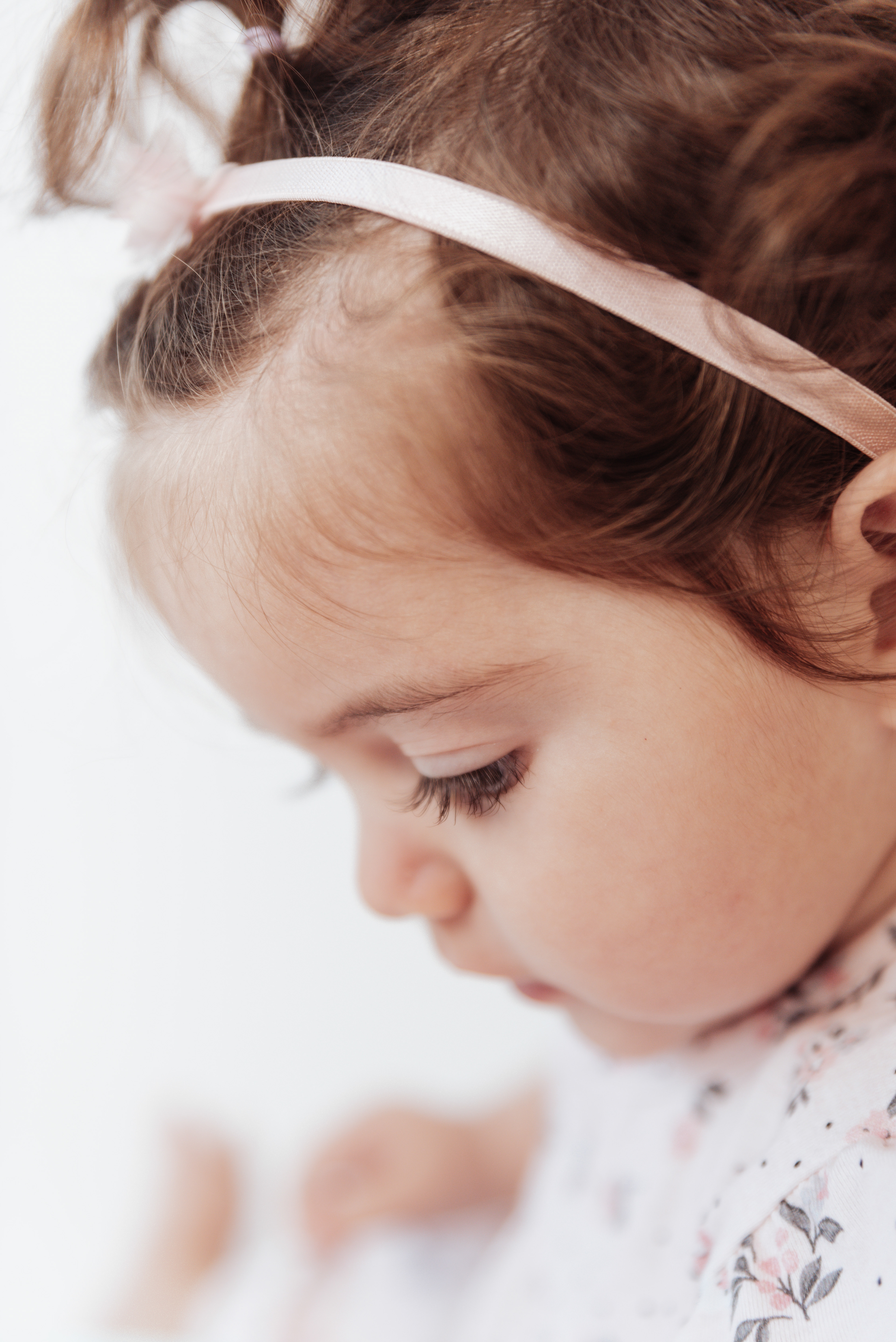 Copyright© ONPH fotografia. Todos los Derechos Reservados