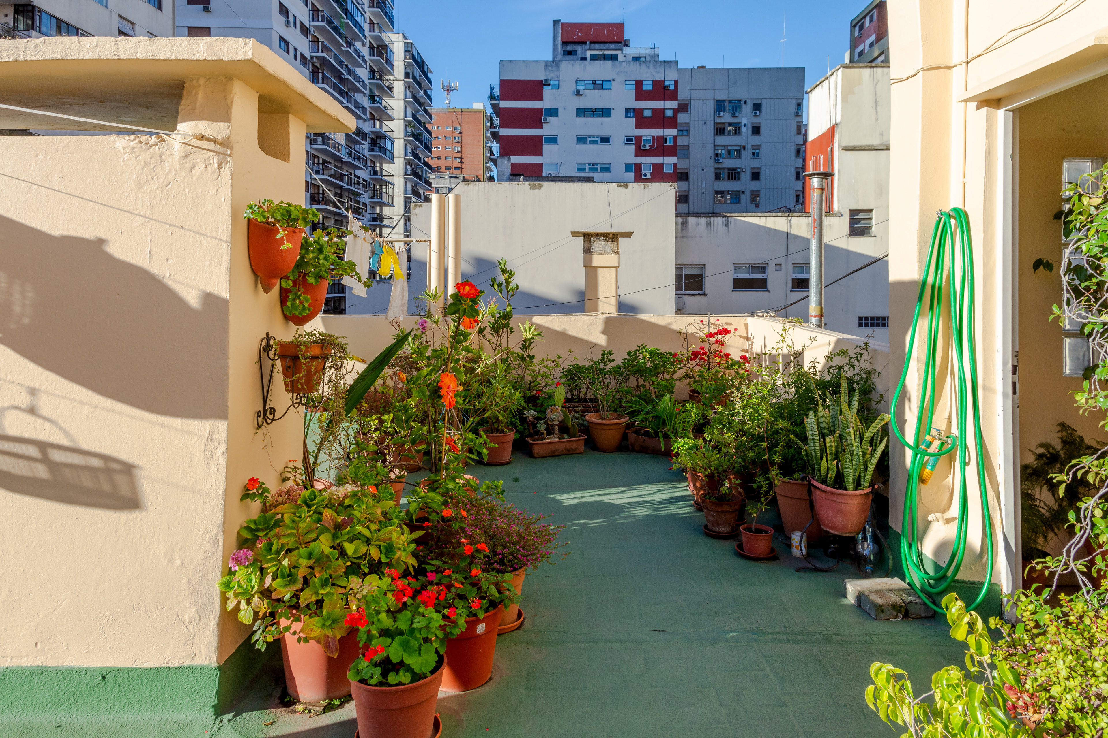 Copyright ONPH fotografía. Todos los derechos reservados.