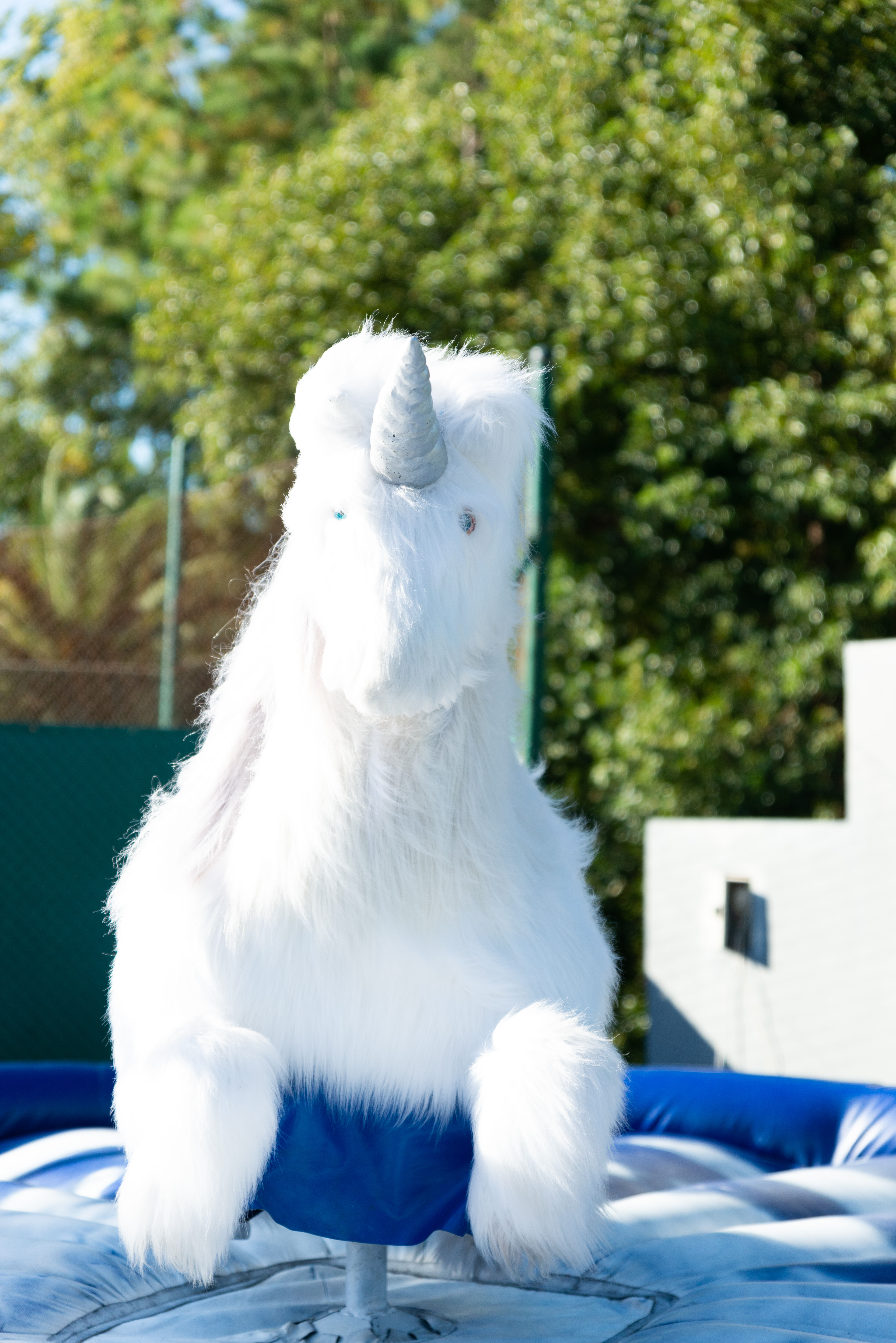 Copyright© ONPH fotografia. Todos los Derechos Reservados