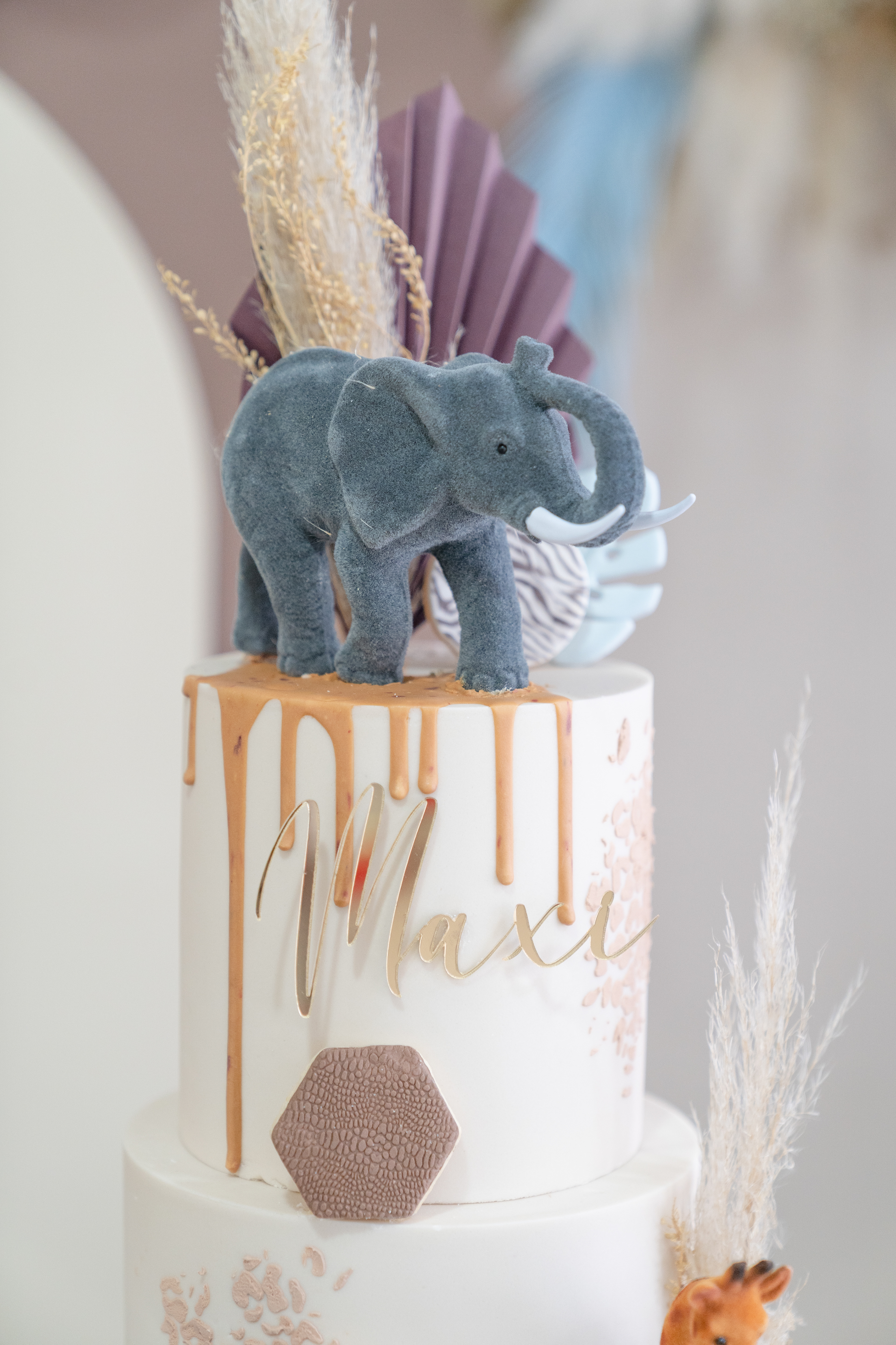 Copyright© ONPH fotografia. Todos los Derechos Reservados