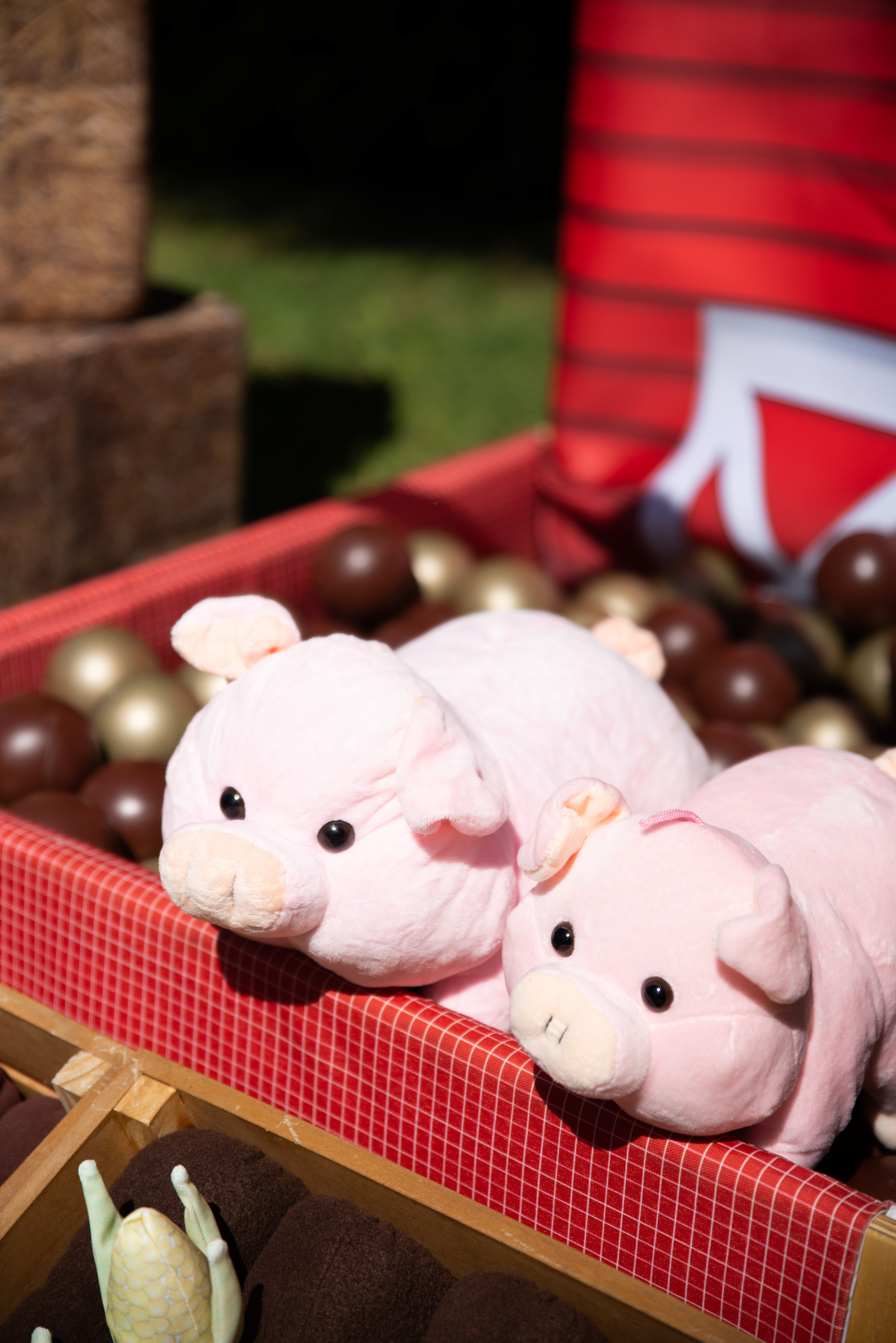 Copyright© ONPH fotografia. Todos los Derechos Reservados