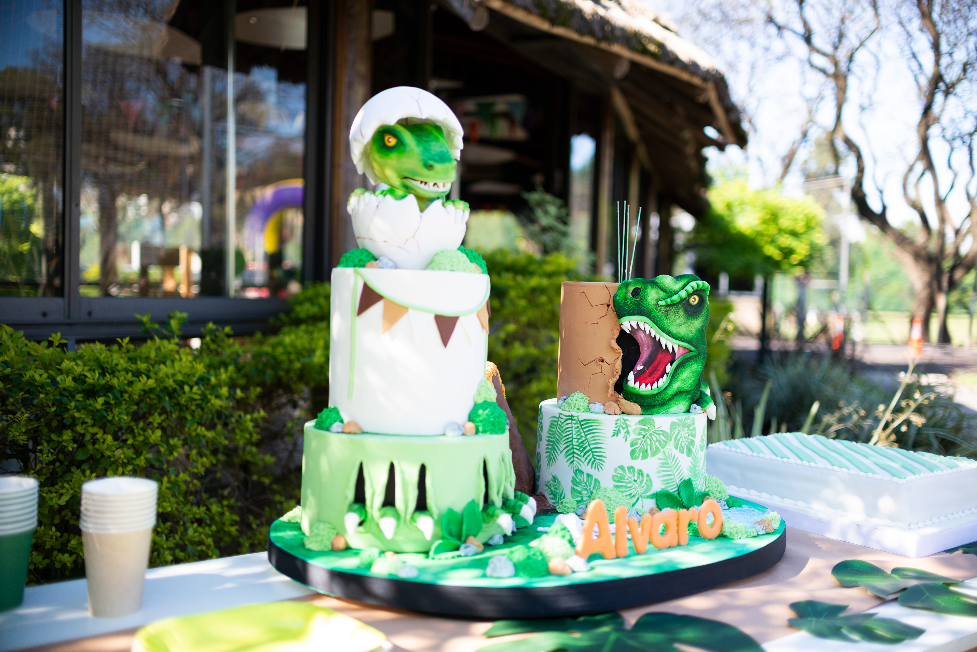 Copyright 2019 ONPH fotografía. Todos los derechos reservados.