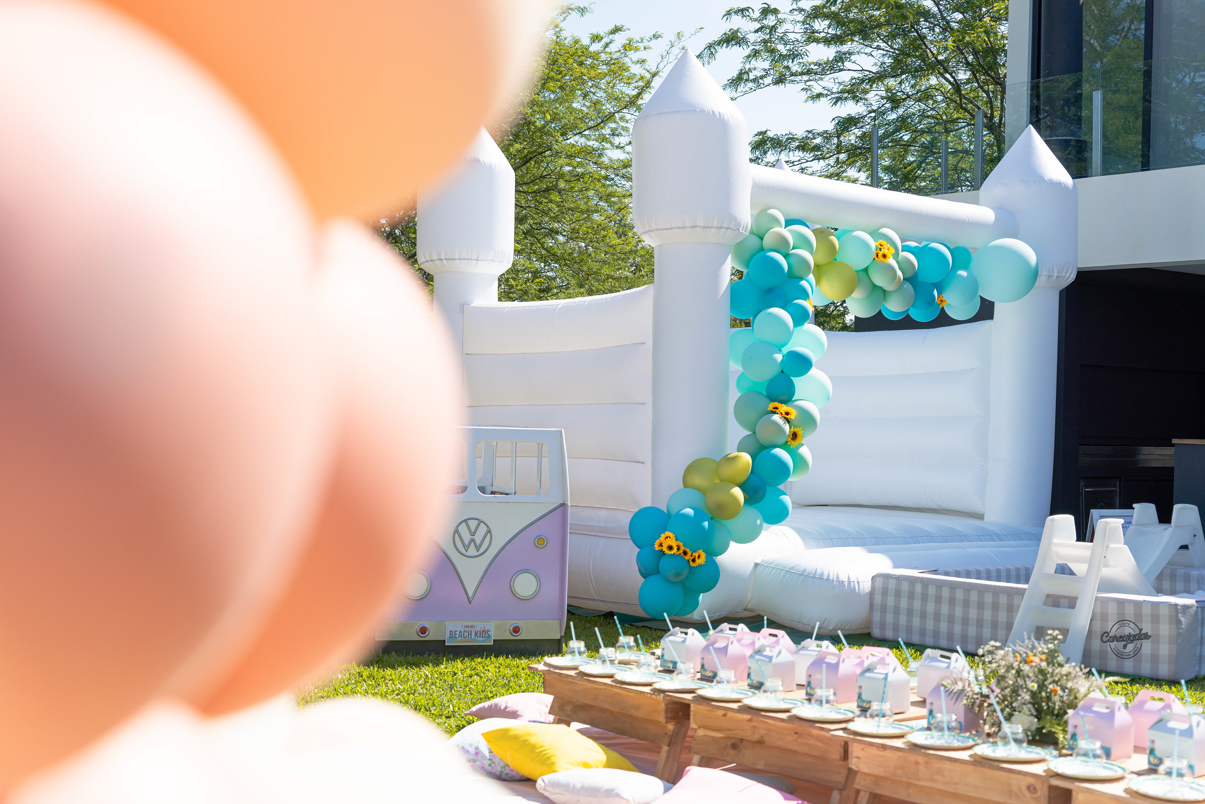 Copyright© ONPH fotografia. Todos los Derechos Reservados