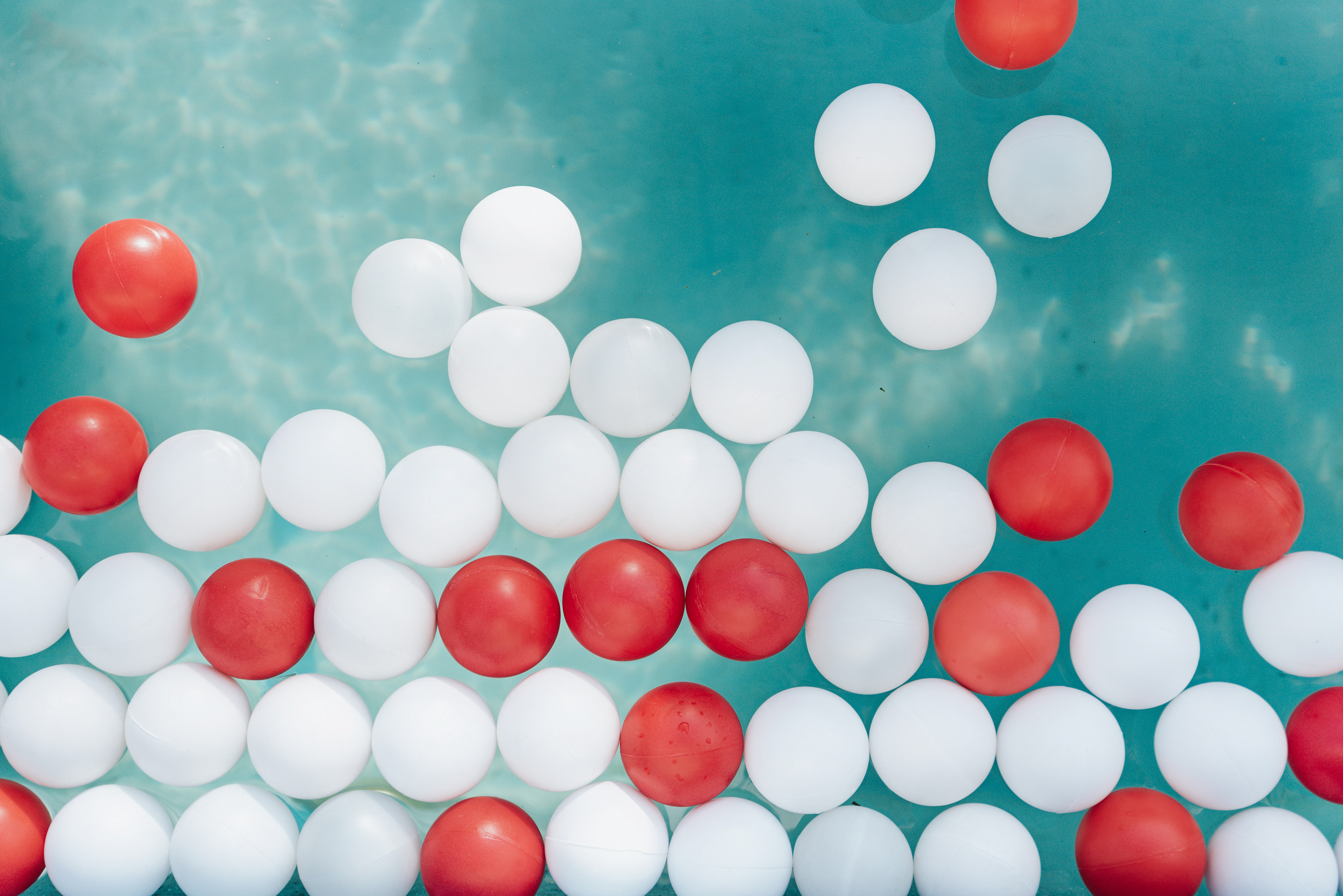 Copyright©2022 ONPH fotografia. Todos los Derechos Reservados