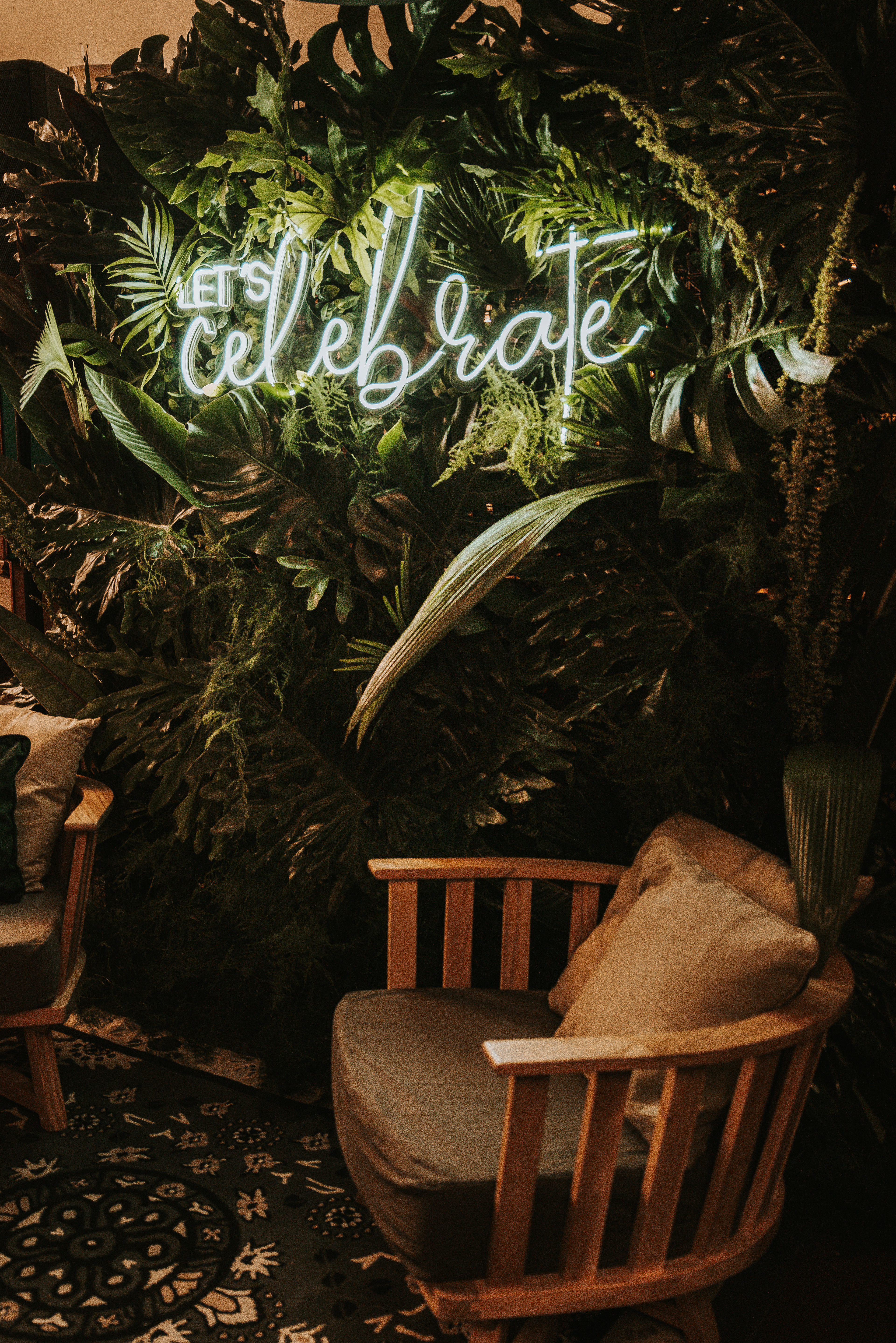 Copyright© ONPH fotografia. Todos los Derechos Reservados