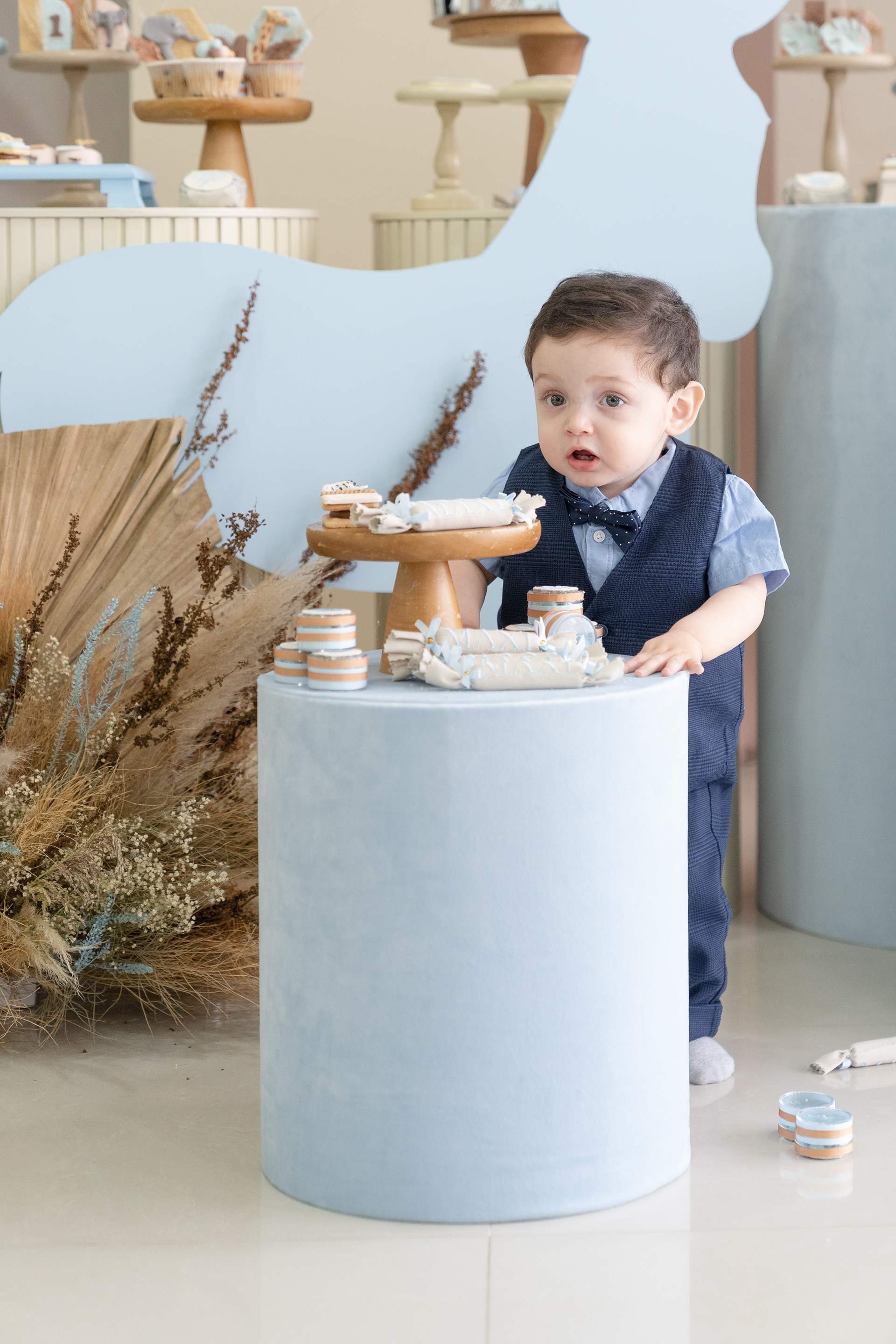 Copyright© ONPH fotografia. Todos los Derechos Reservados